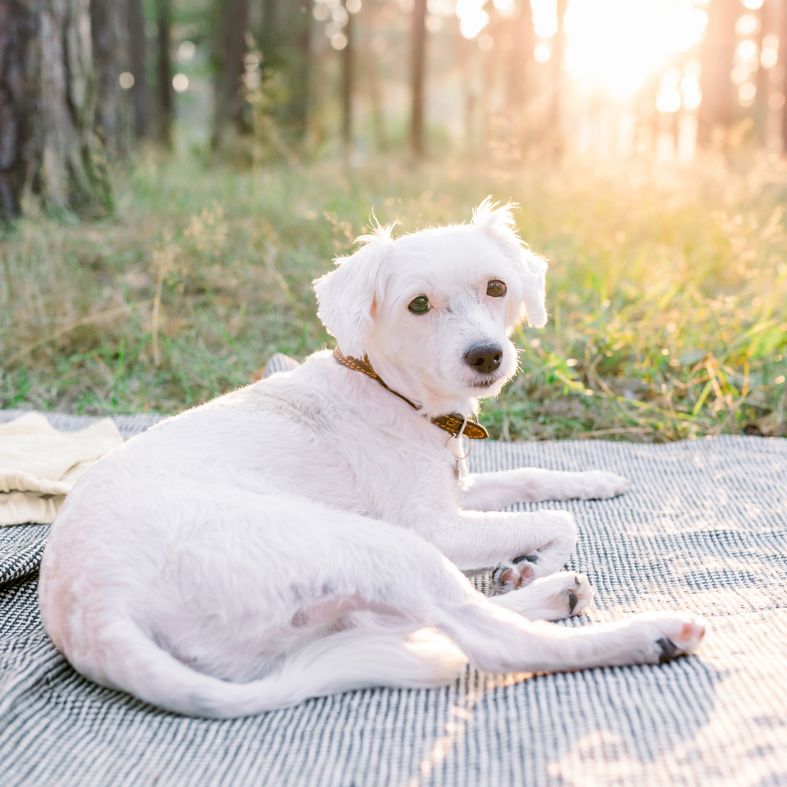Наташа и Илья. Лена Крутова. Фотограф в Москве