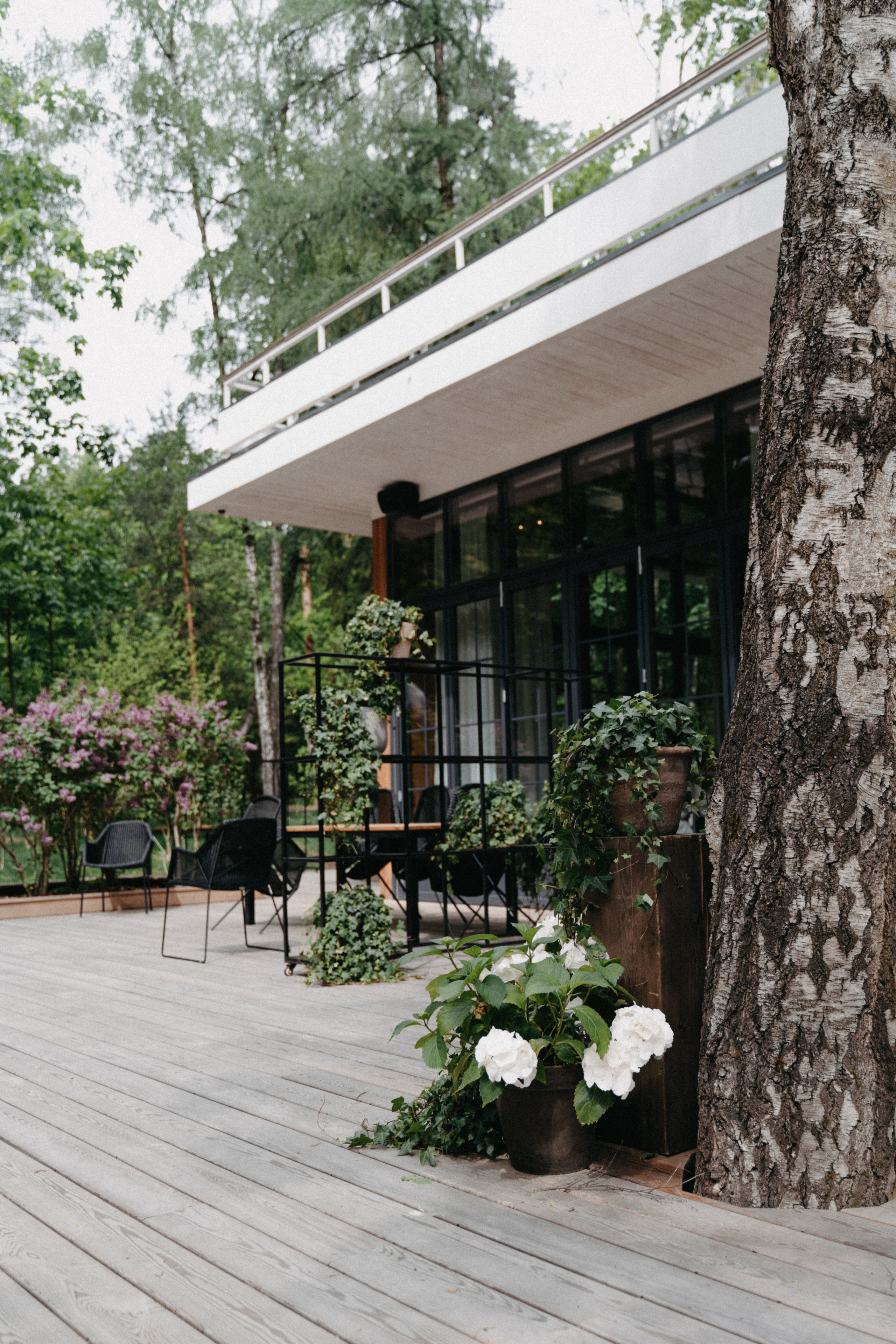 Business brunch. Фотограф Москва