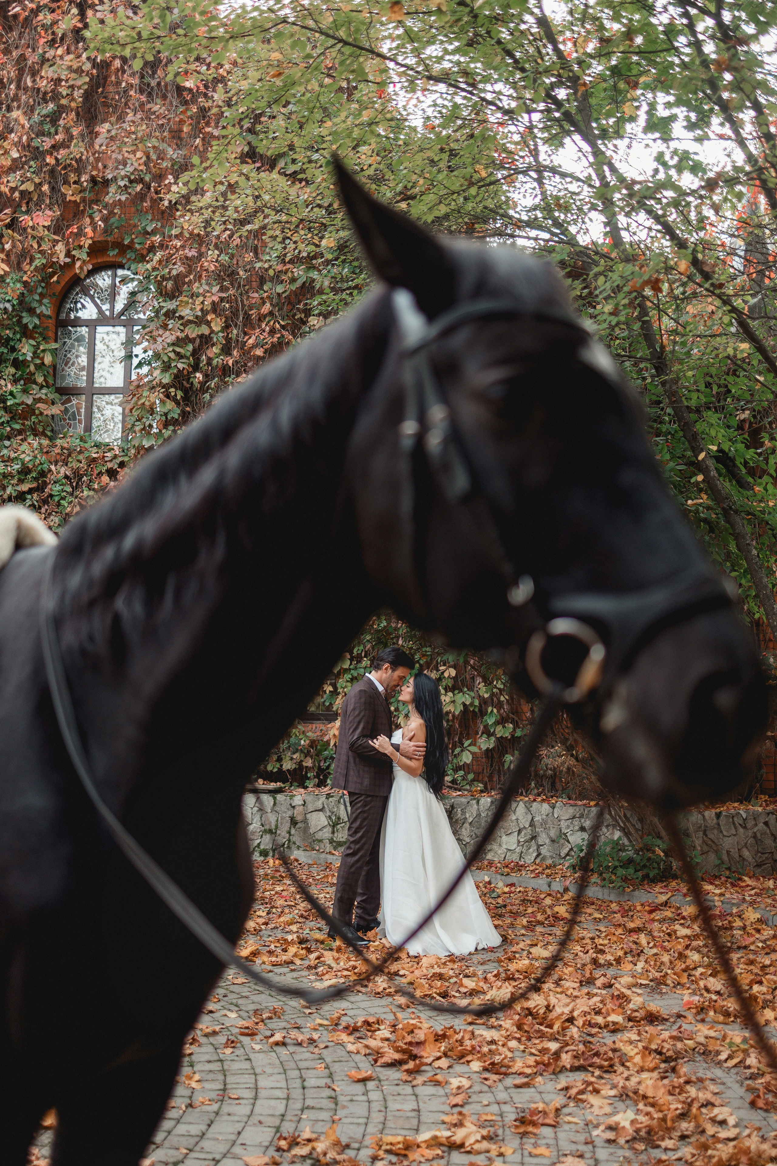 Алсу и Сергей. Главная