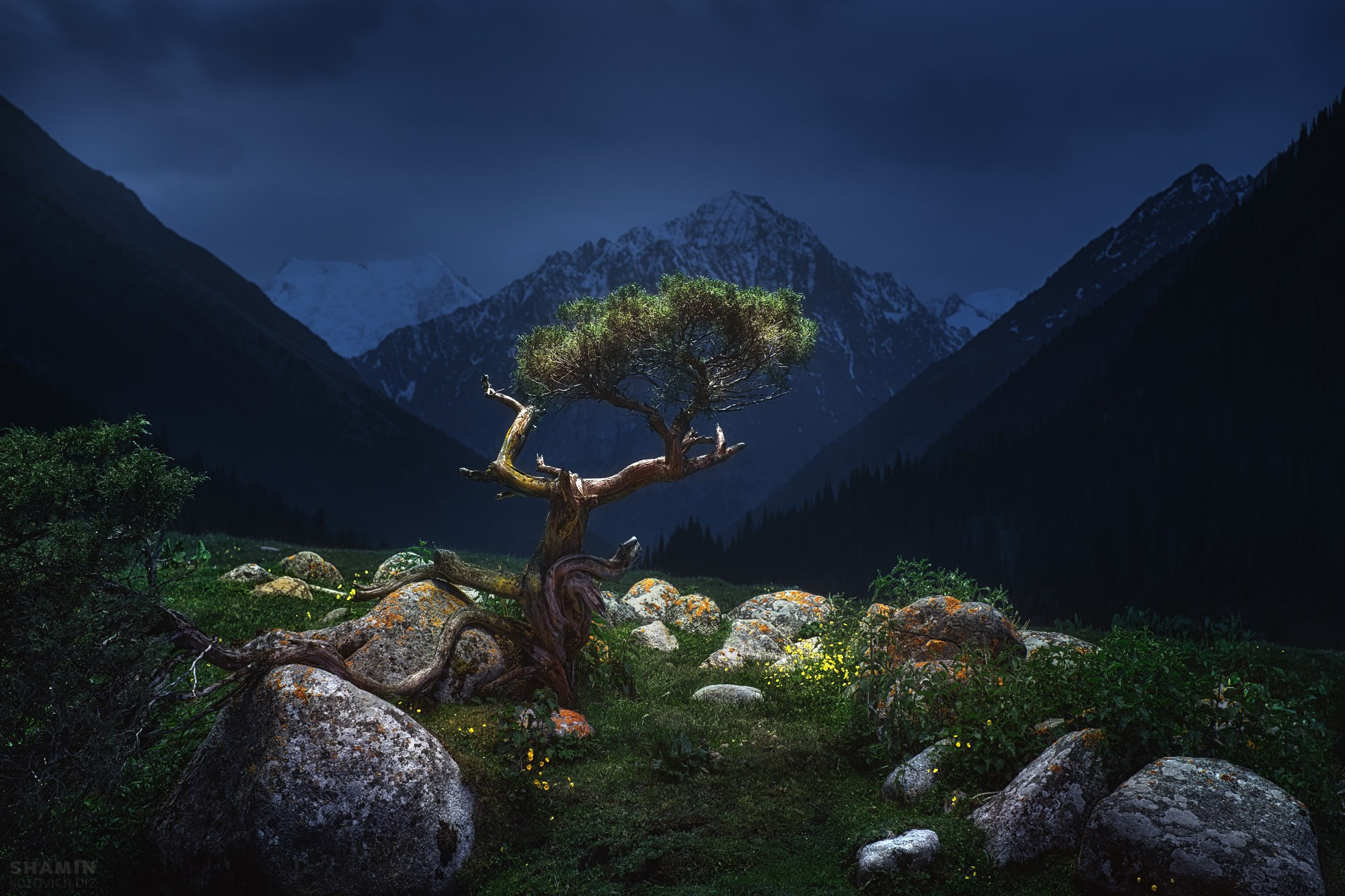Ночной пейзаж — Фотограф Константин Шамин | Арт и астрофотография. Фотограф Константин Шамин