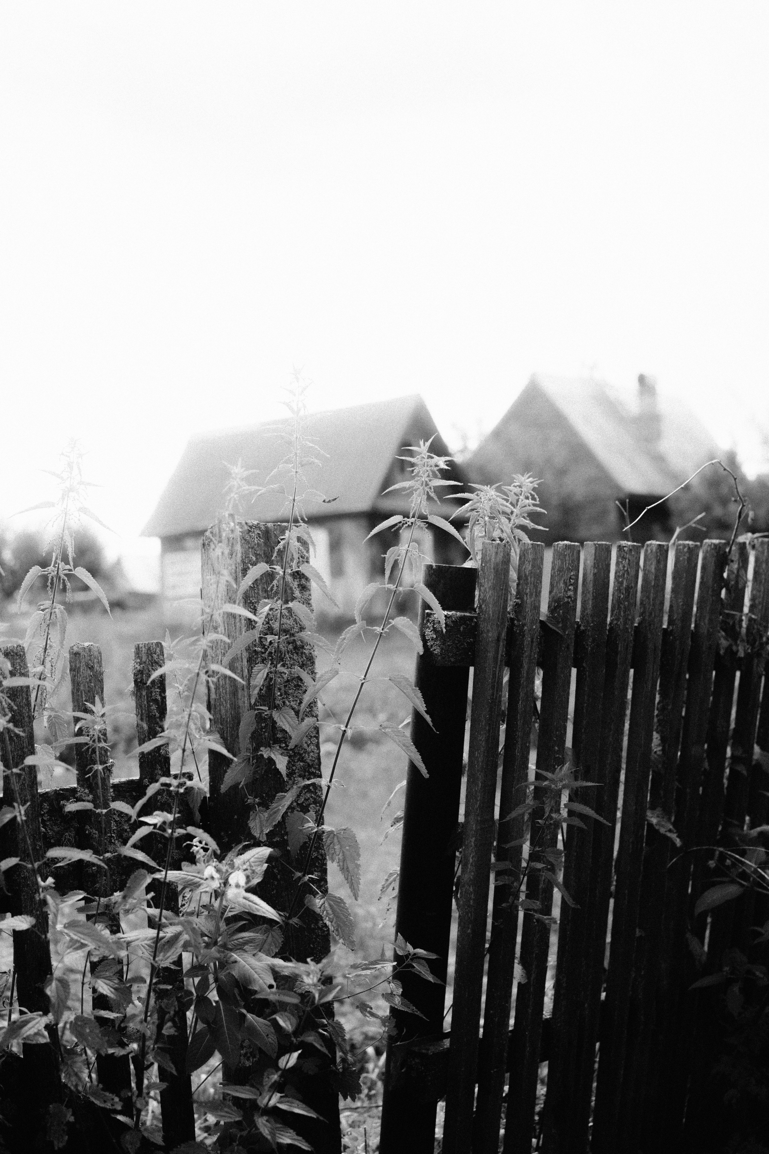 Нагорный Иштан. Veronika Popadeikina Photographer