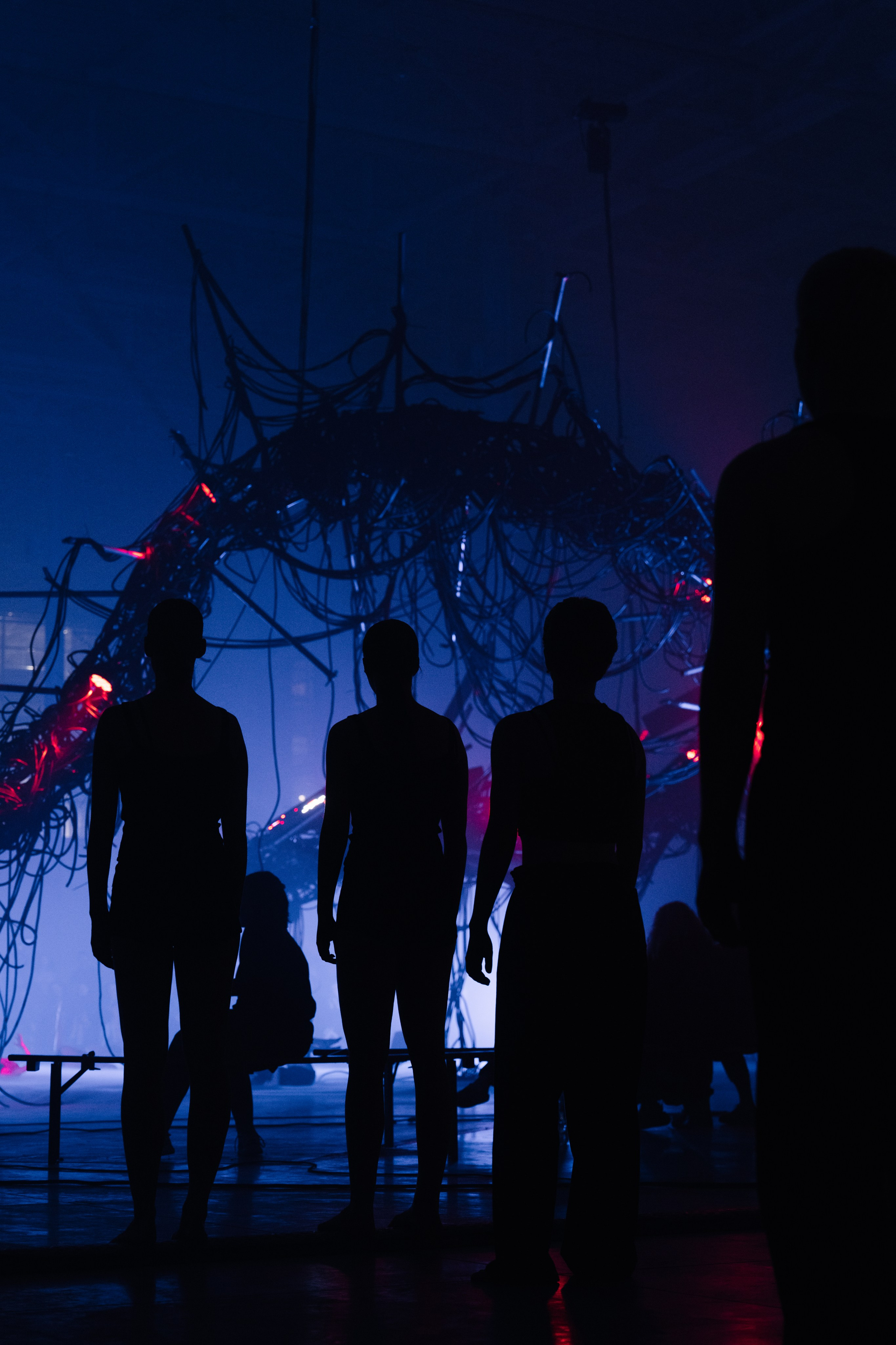 PERFORMA, The Hour of the Horse. @tomrus: Рустам Шагиморданов — фотограф