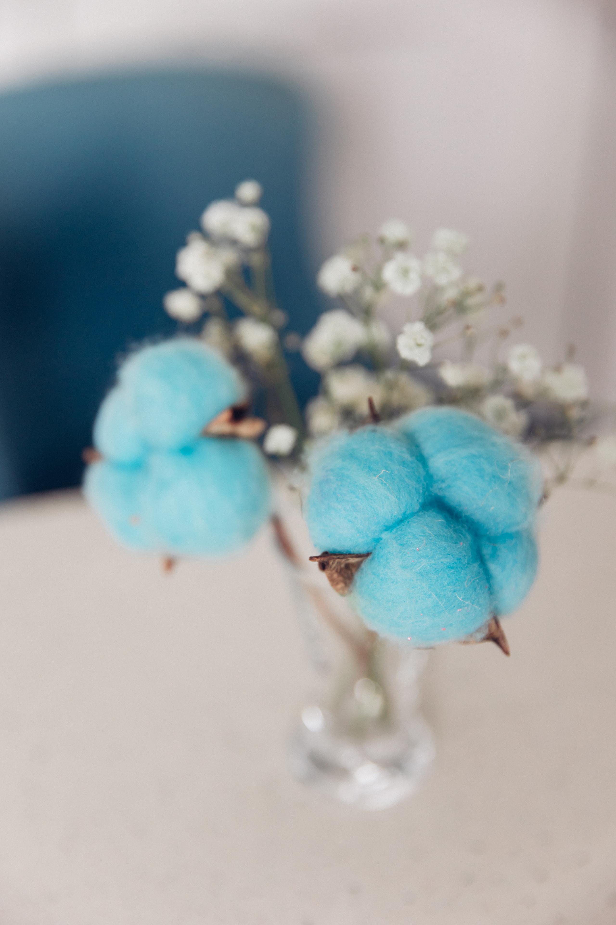 Елена Баринова, психолог. Семейный фотограф в Санкт-Петербурге Алиса Мохова