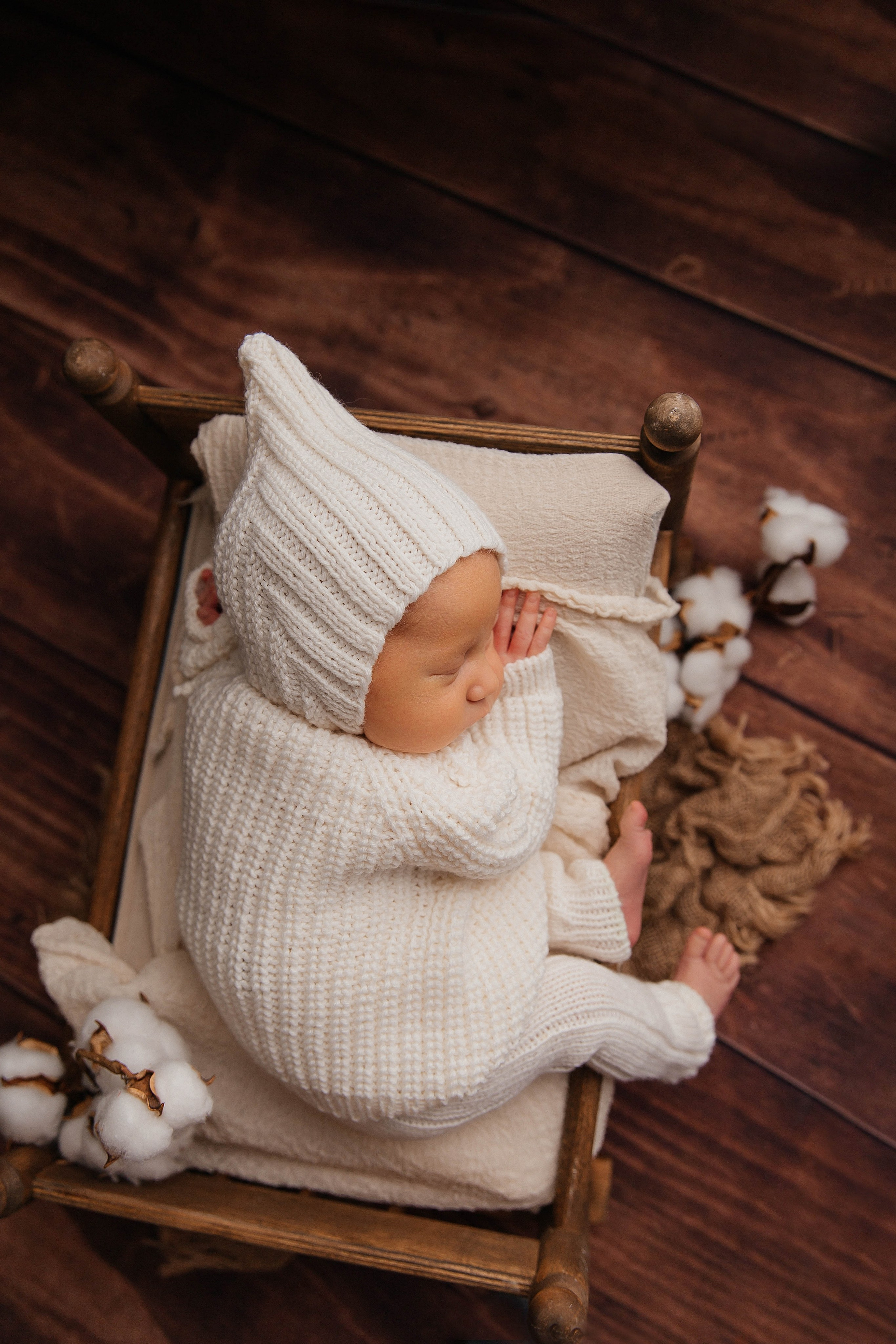 Лев. Фотограф новорожденных Тверь Диана Муляева
