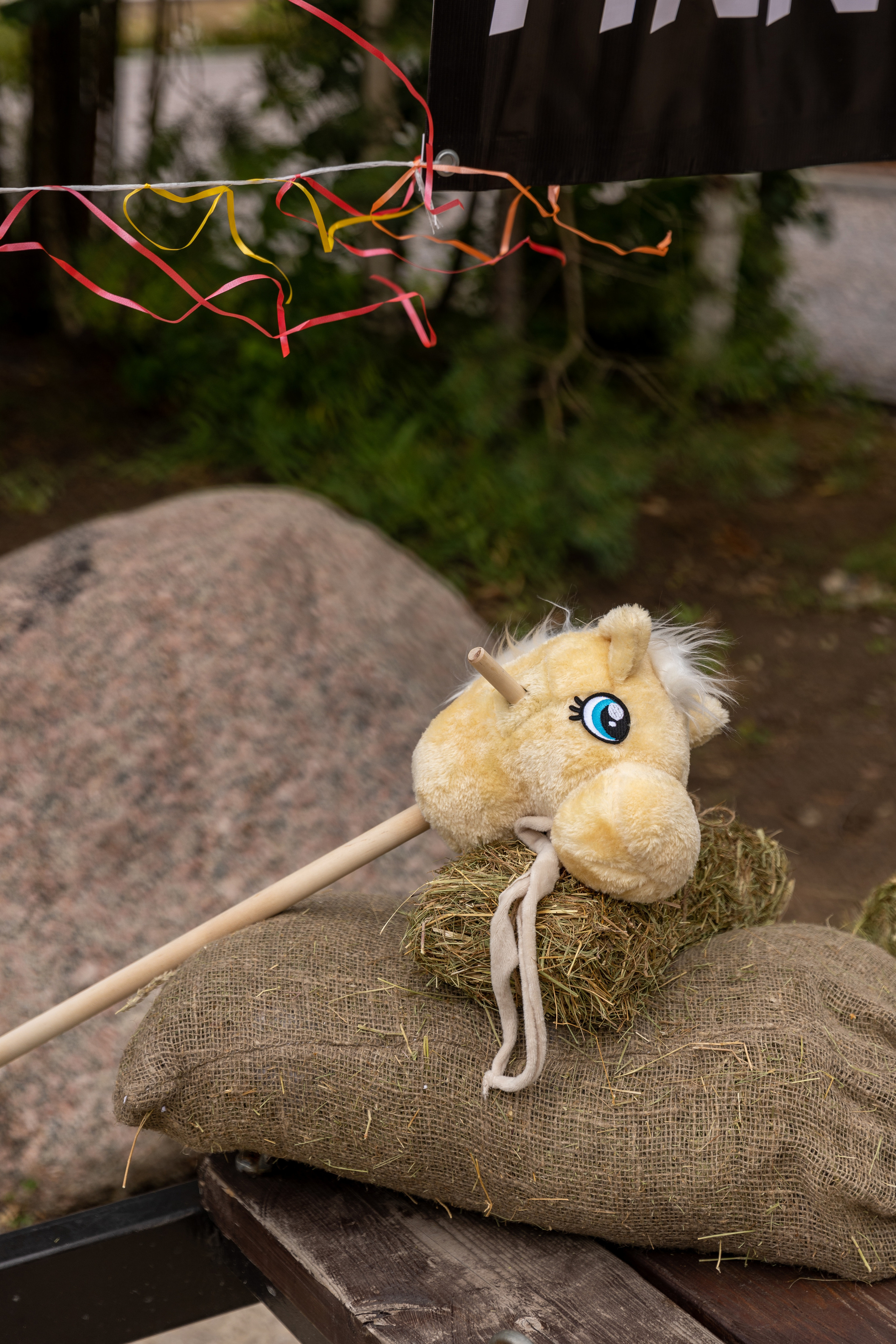 Летний корпоратив компании FINNTRAIL. Фотограф в Санкт-Петербурге Закута Ольга