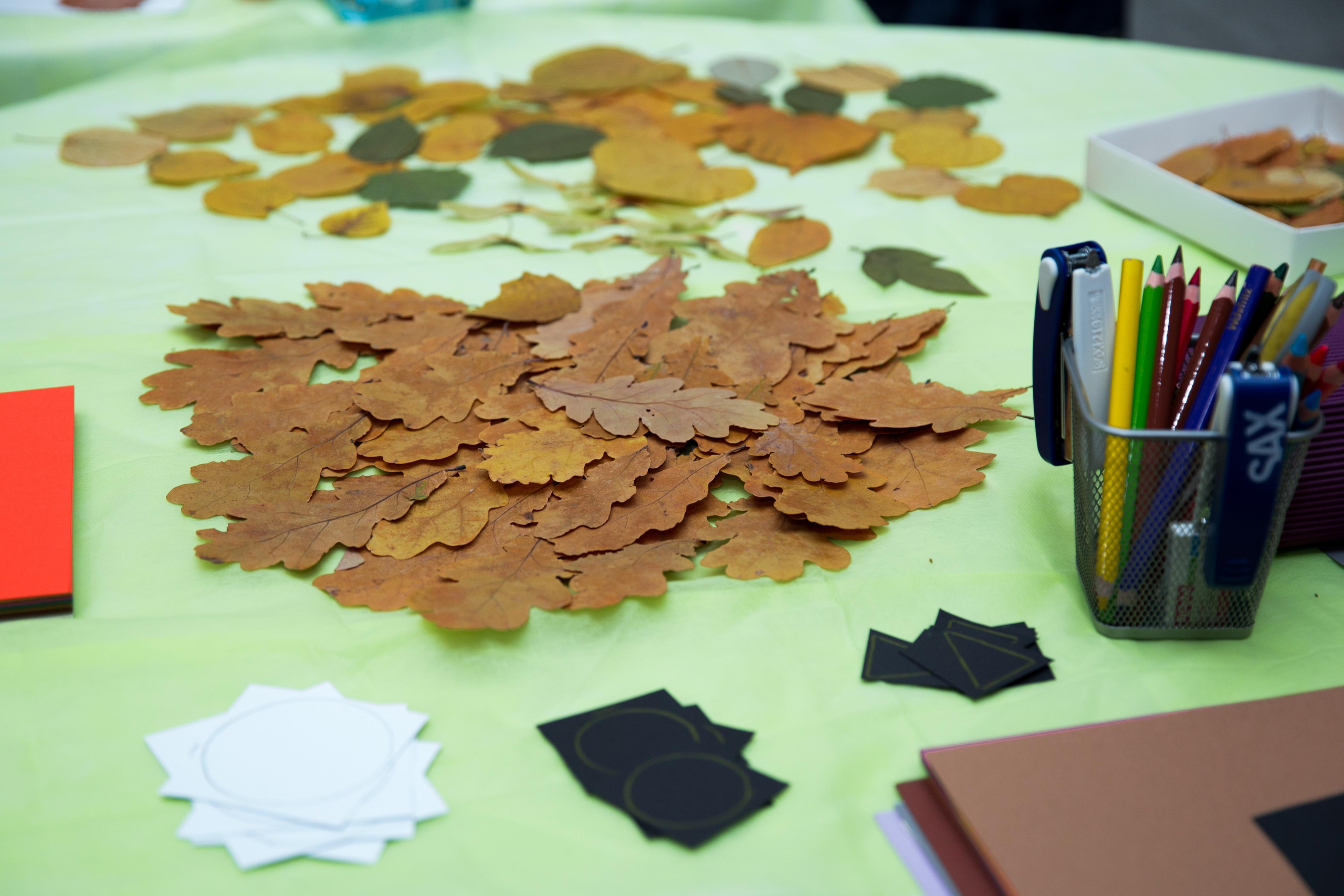 Выставка в главном штабе. Фотограф в Санкт-Петербурге Закута Ольга