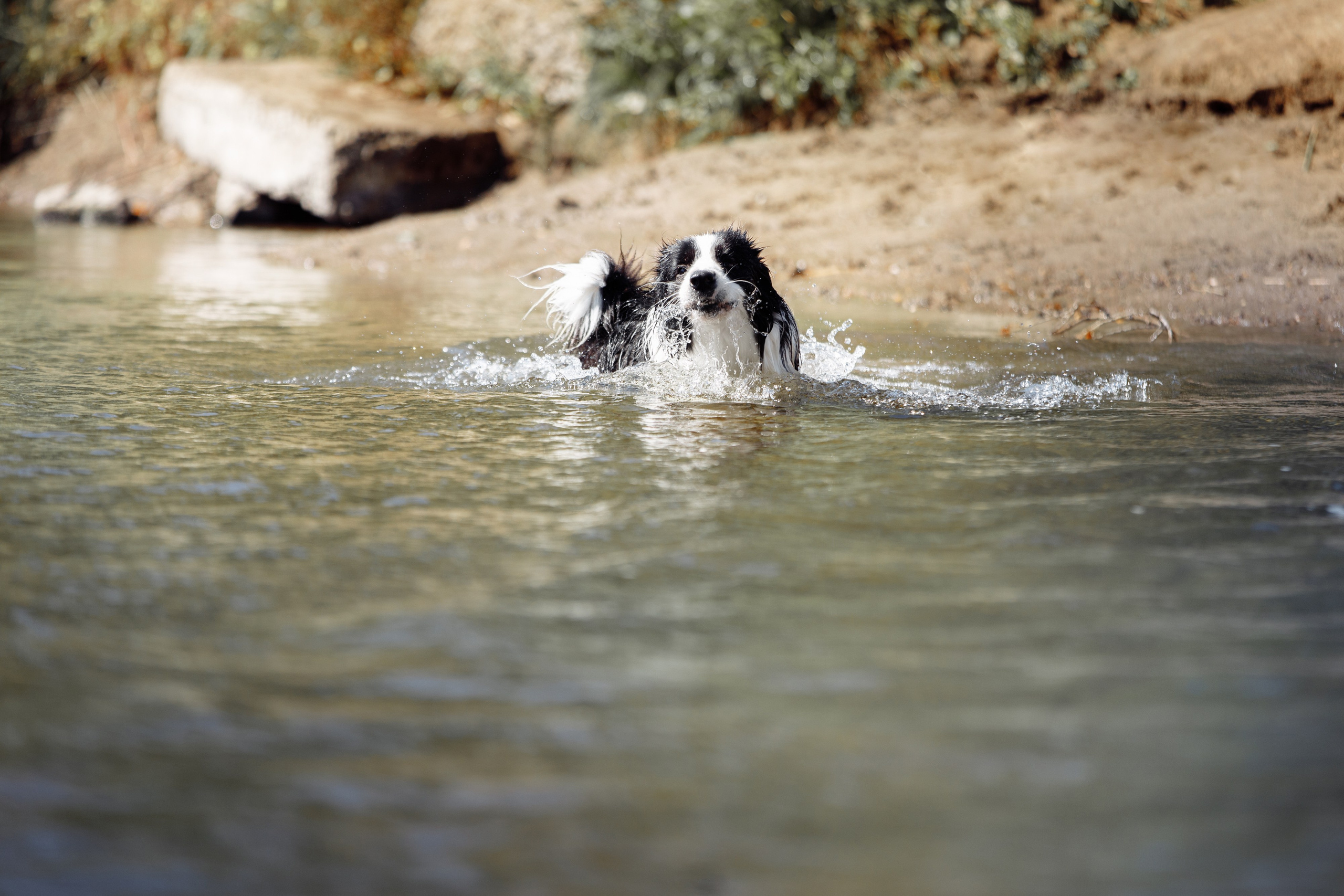 Водяные в Новотроицке. О нас