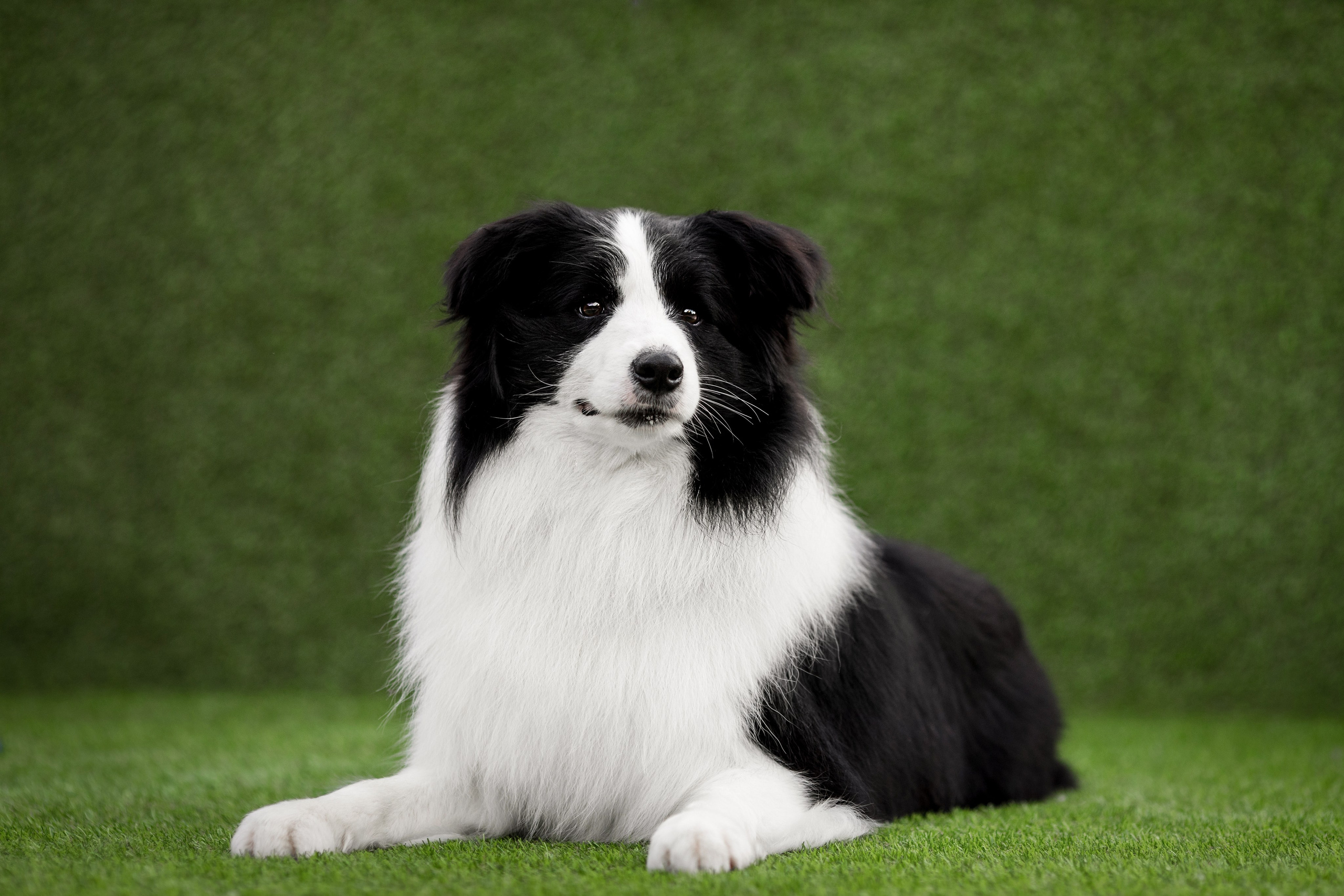 Роскошь в ростошах. О нас