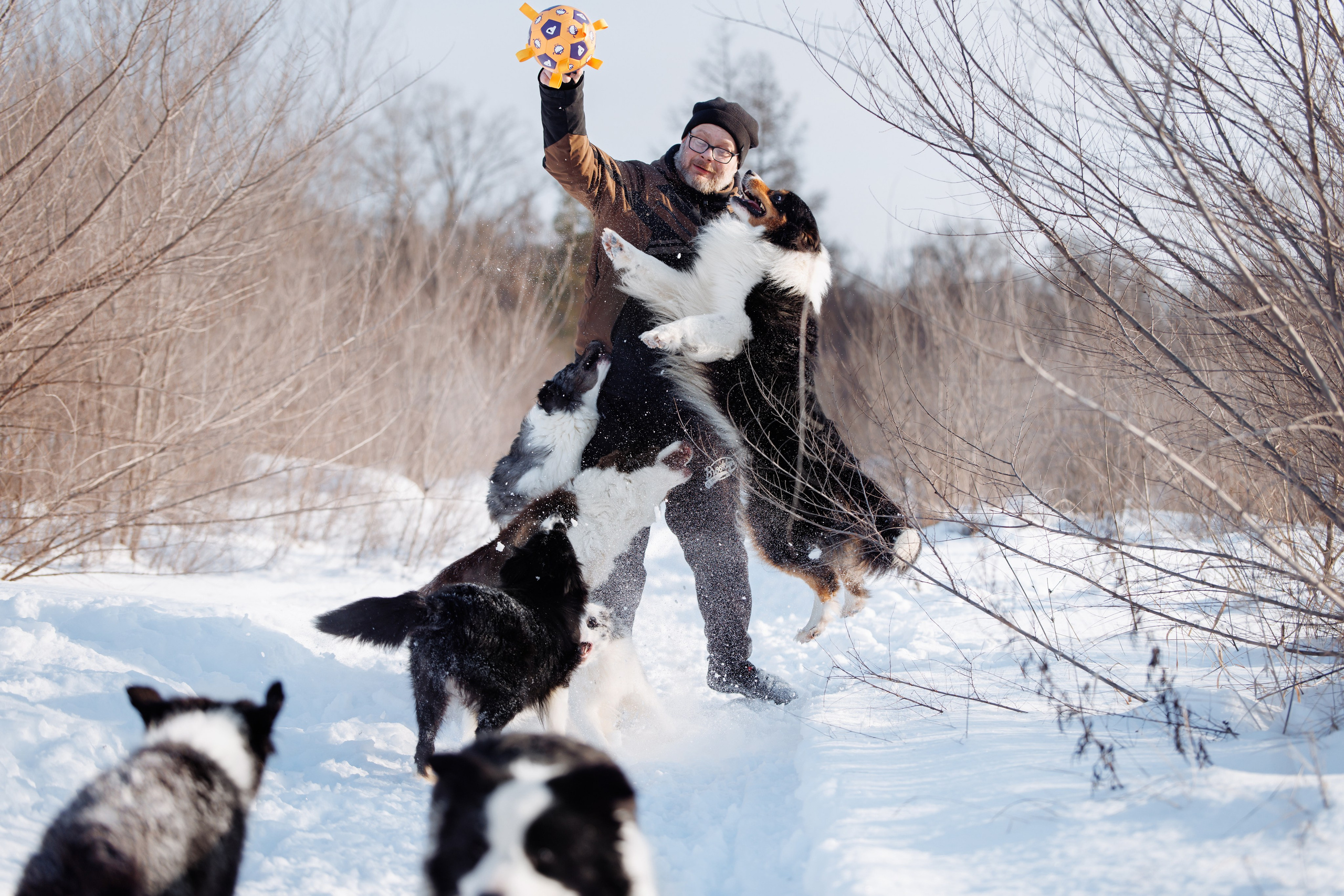 Яркий январь. О нас