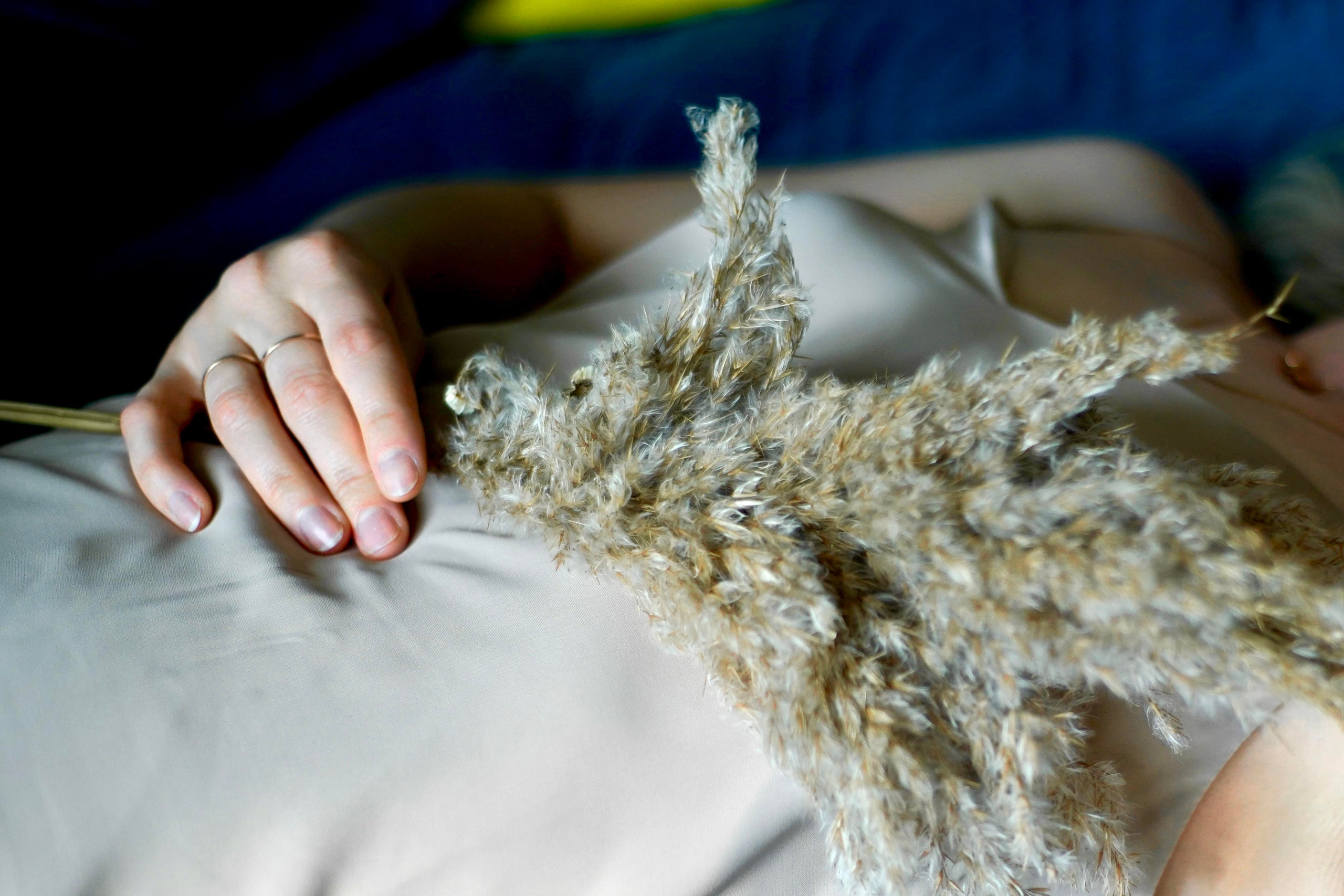 Домашний уют. Семейный и детский фотограф Александра Гвоздикова