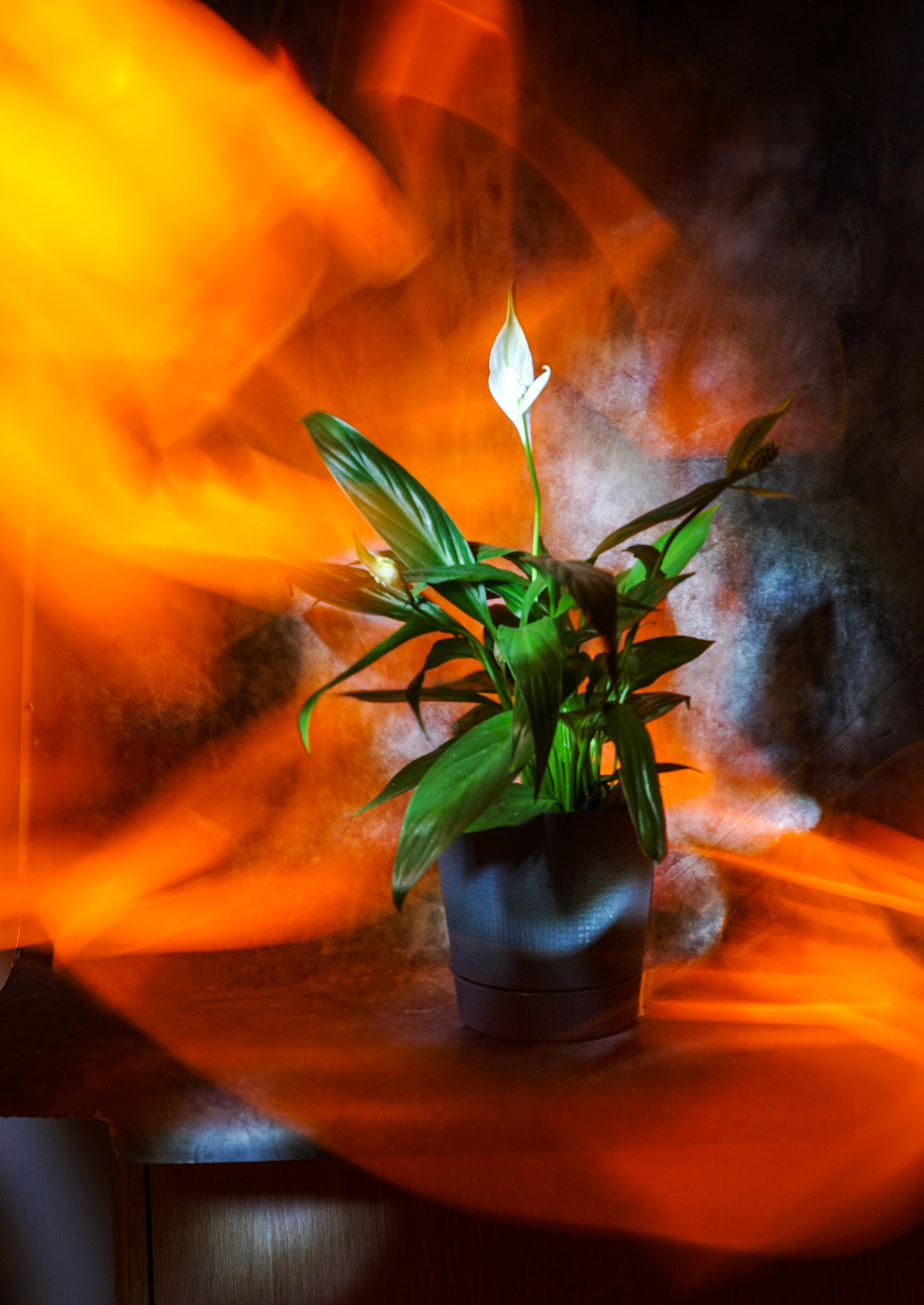 Светопись. Фотохудожник Татьяна Бойцова