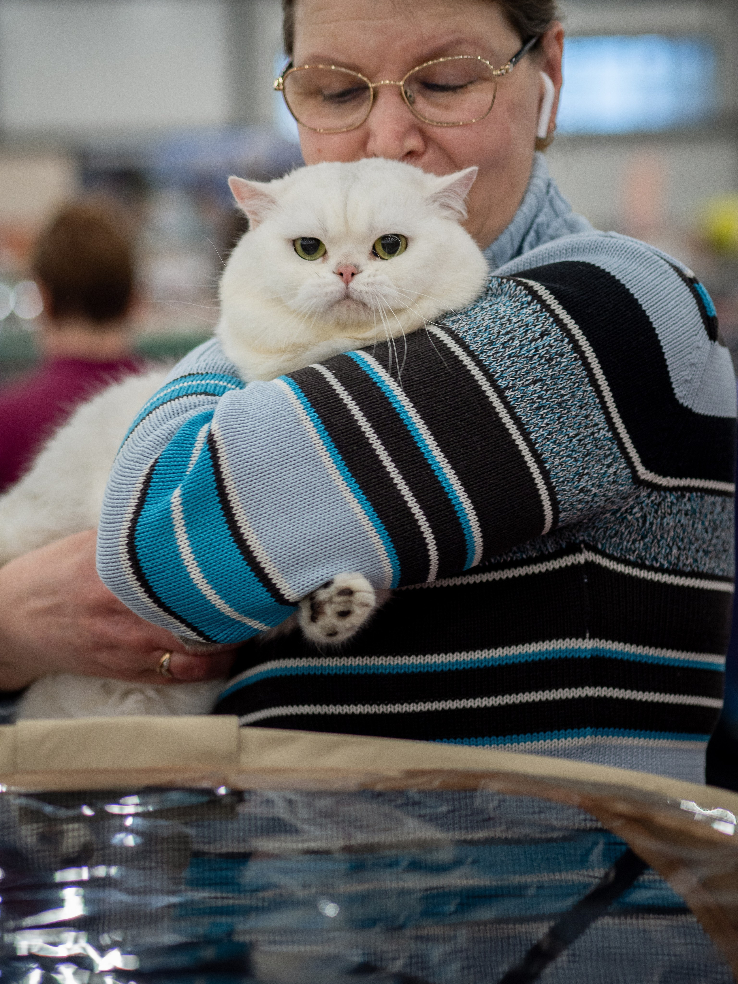 Анималистика. Сайт портфолио двух профессиональных фотографов