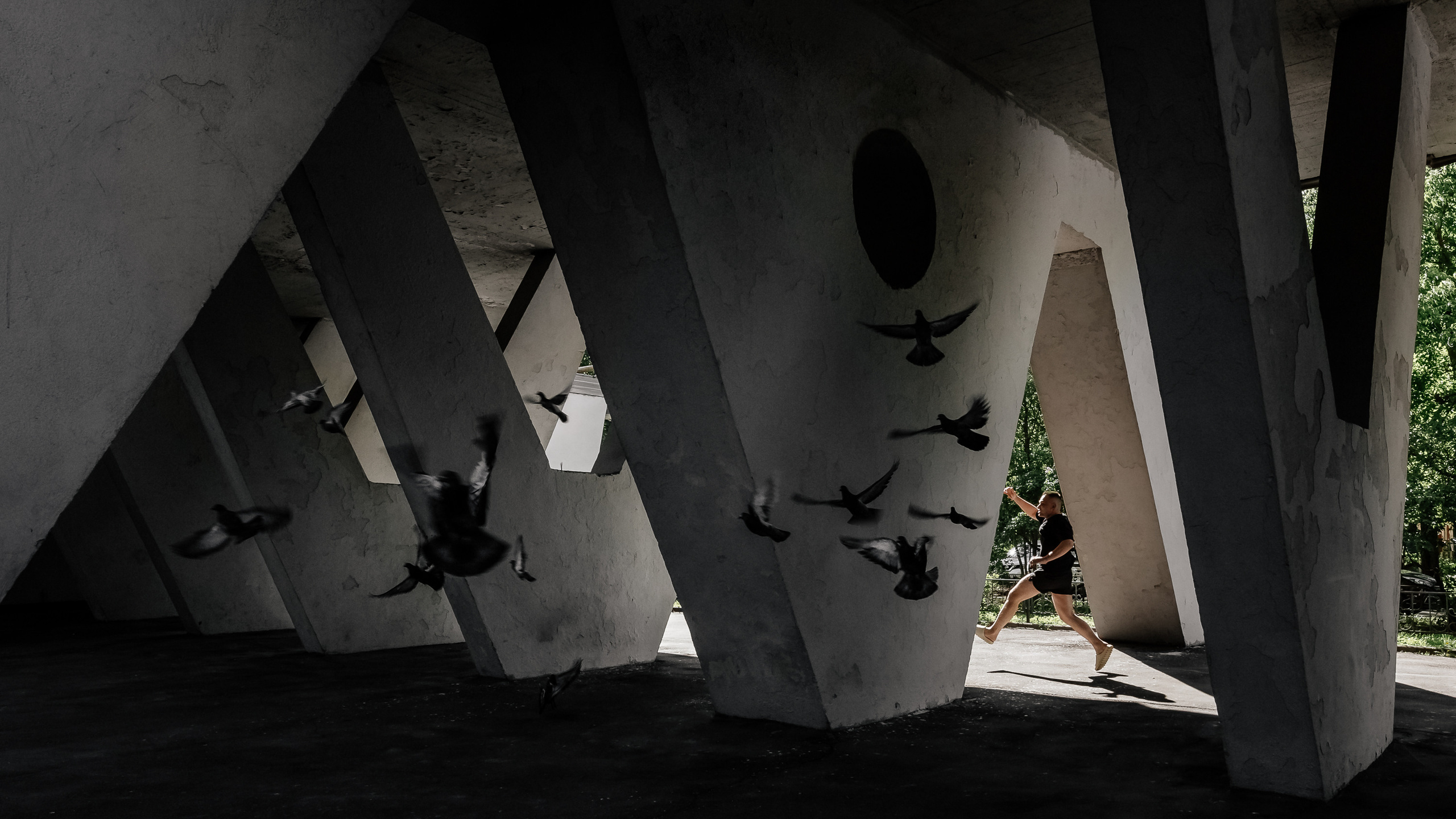 Город|природа. Профессиональный фотограф Инесса Новикова в Москве