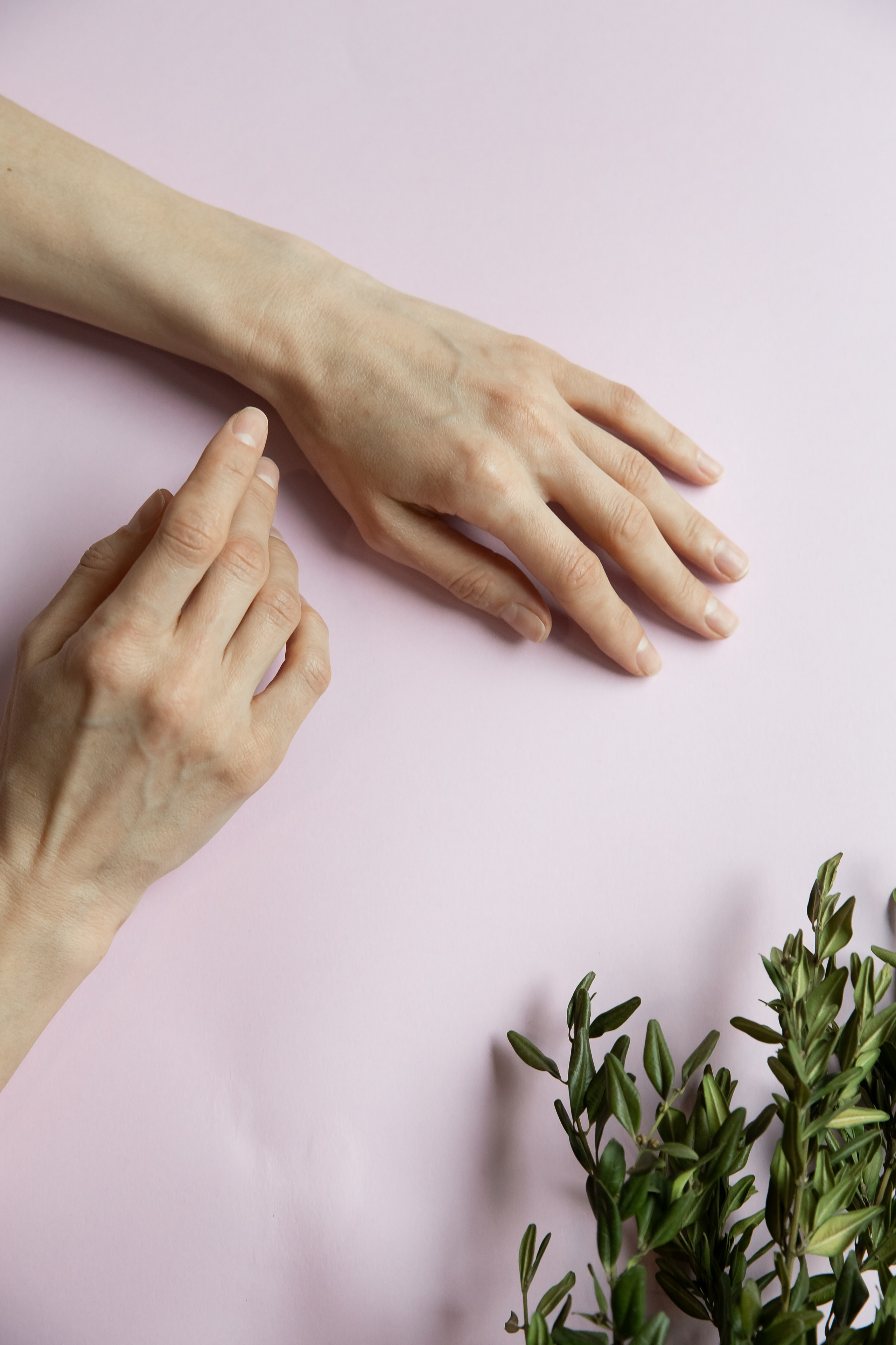 Предметная. Профессиональный фотограф Инесса Новикова в Москве