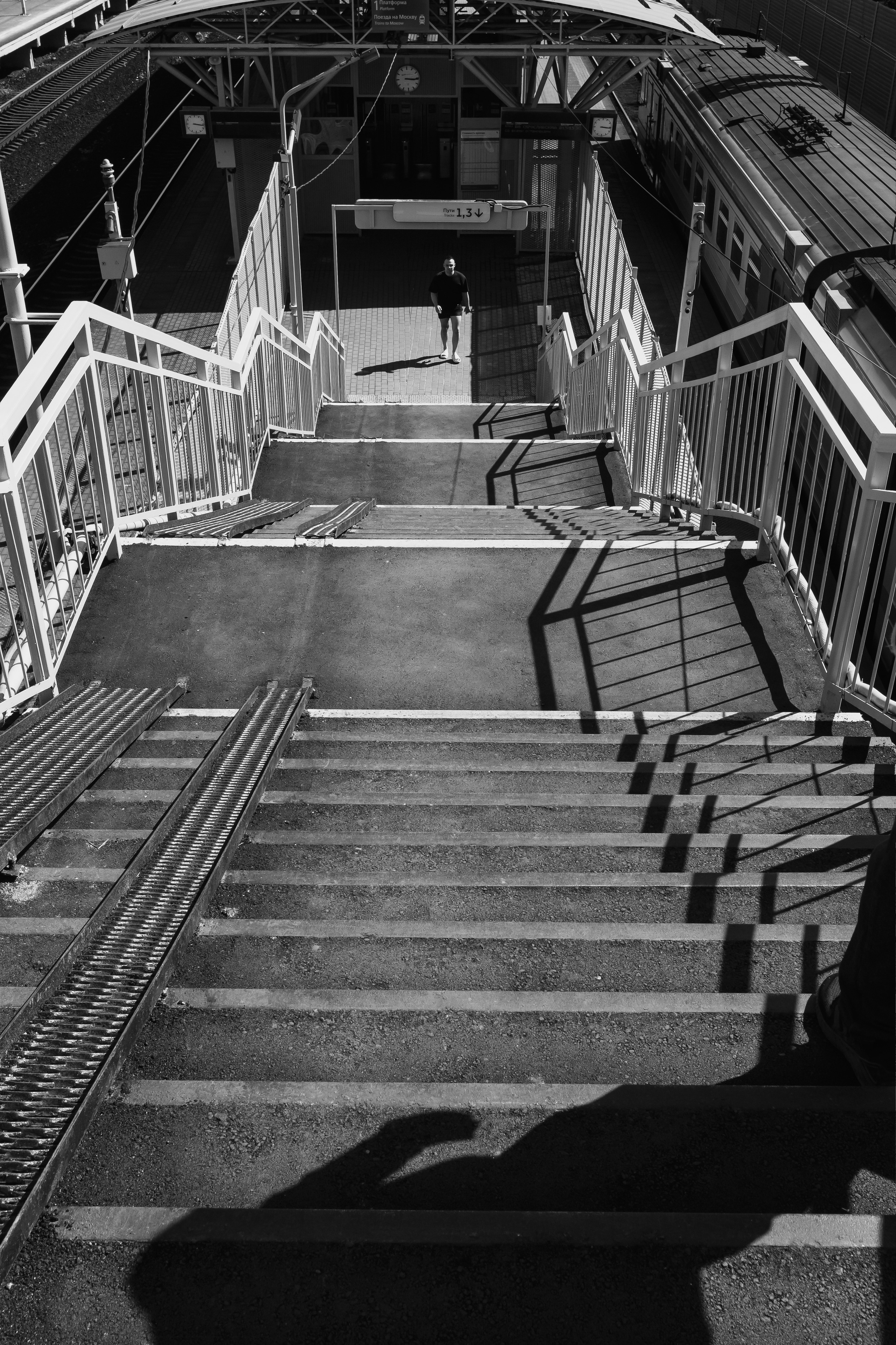 Город|природа. Профессиональный фотограф Инесса Новикова в Москве