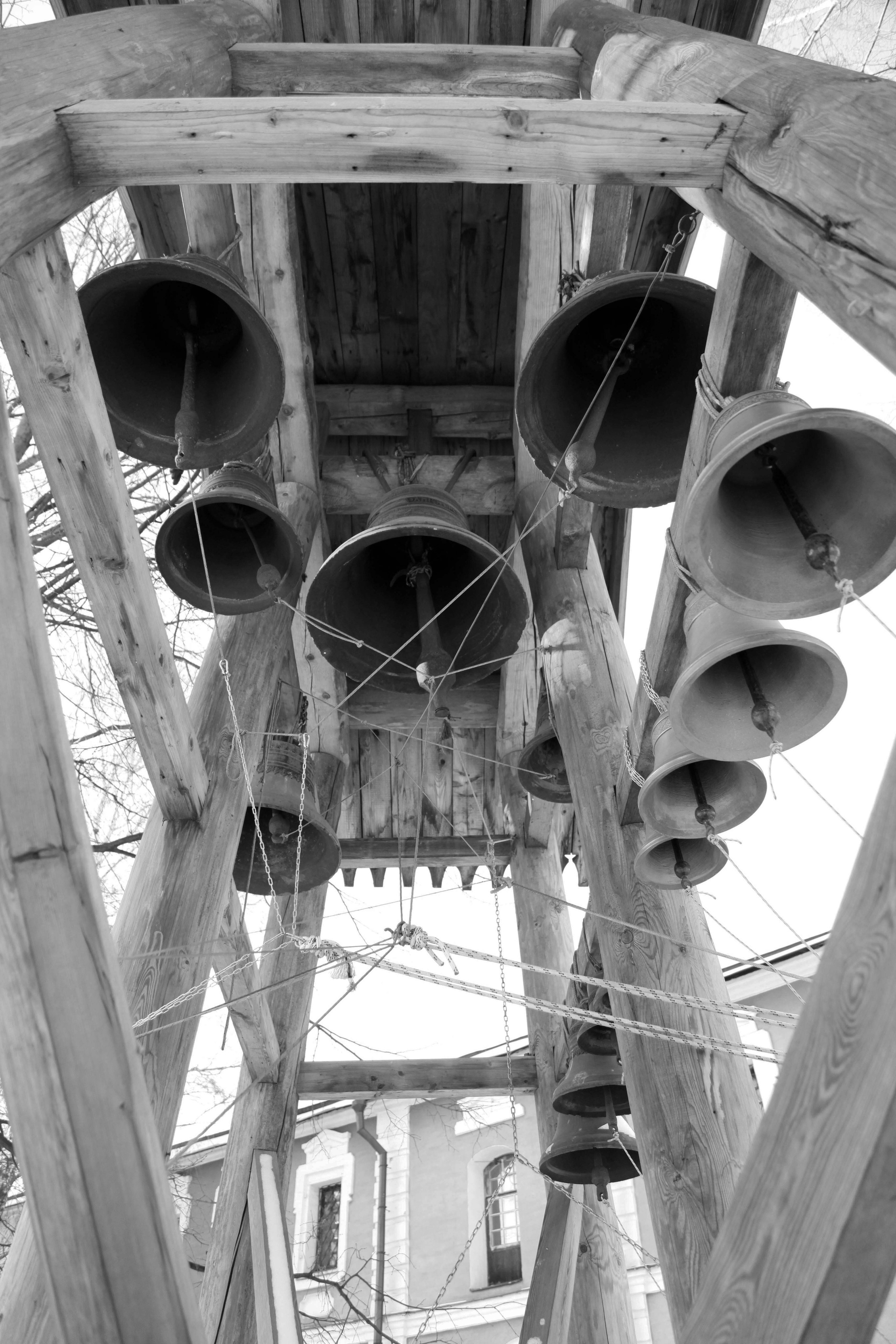 Город|природа. Профессиональный фотограф Инесса Новикова в Москве