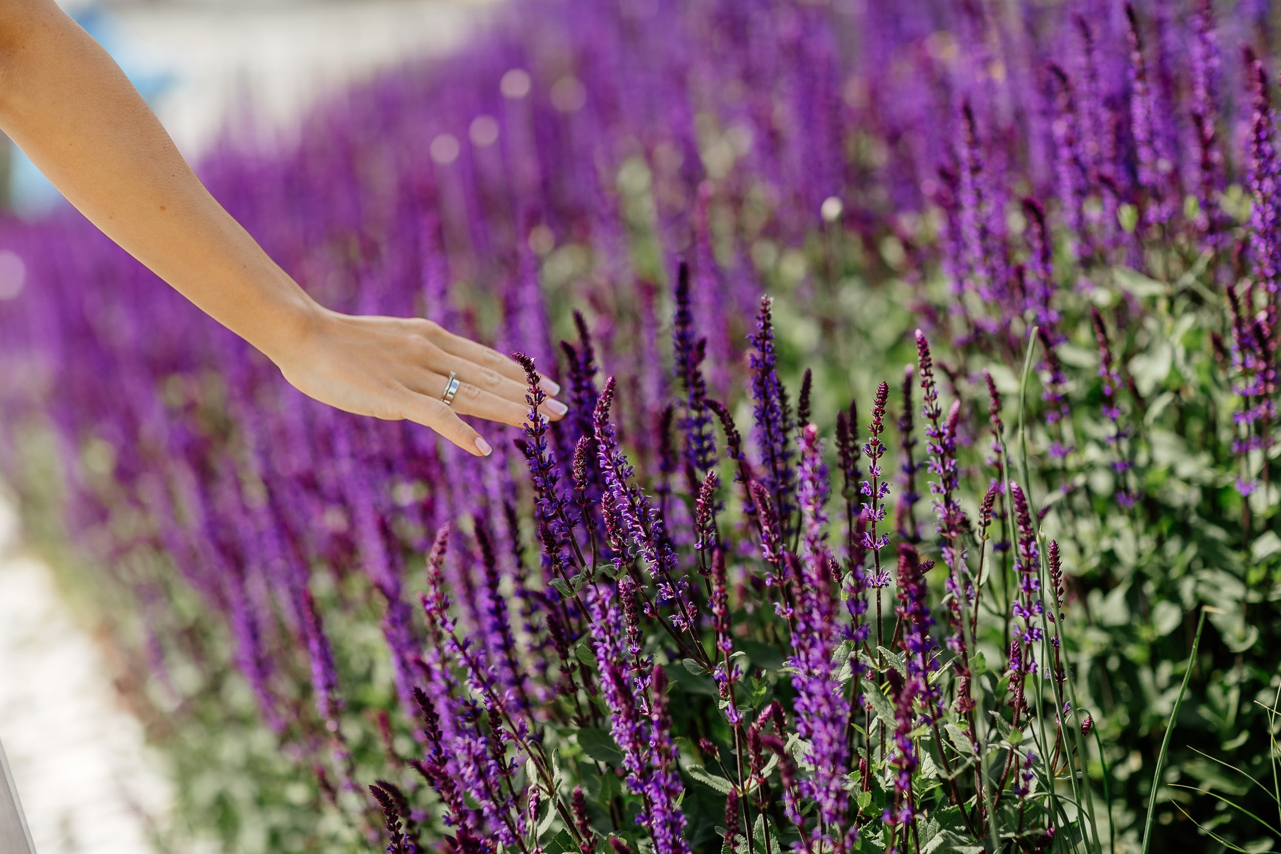 Свадьбы|лав-стори. Профессиональный фотограф Инесса Новикова в Москве