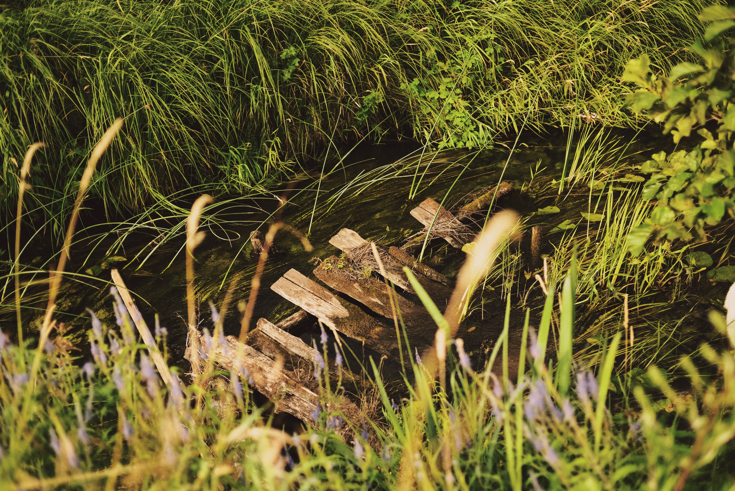 Летние каникулы в деревне. May the numbers guide us