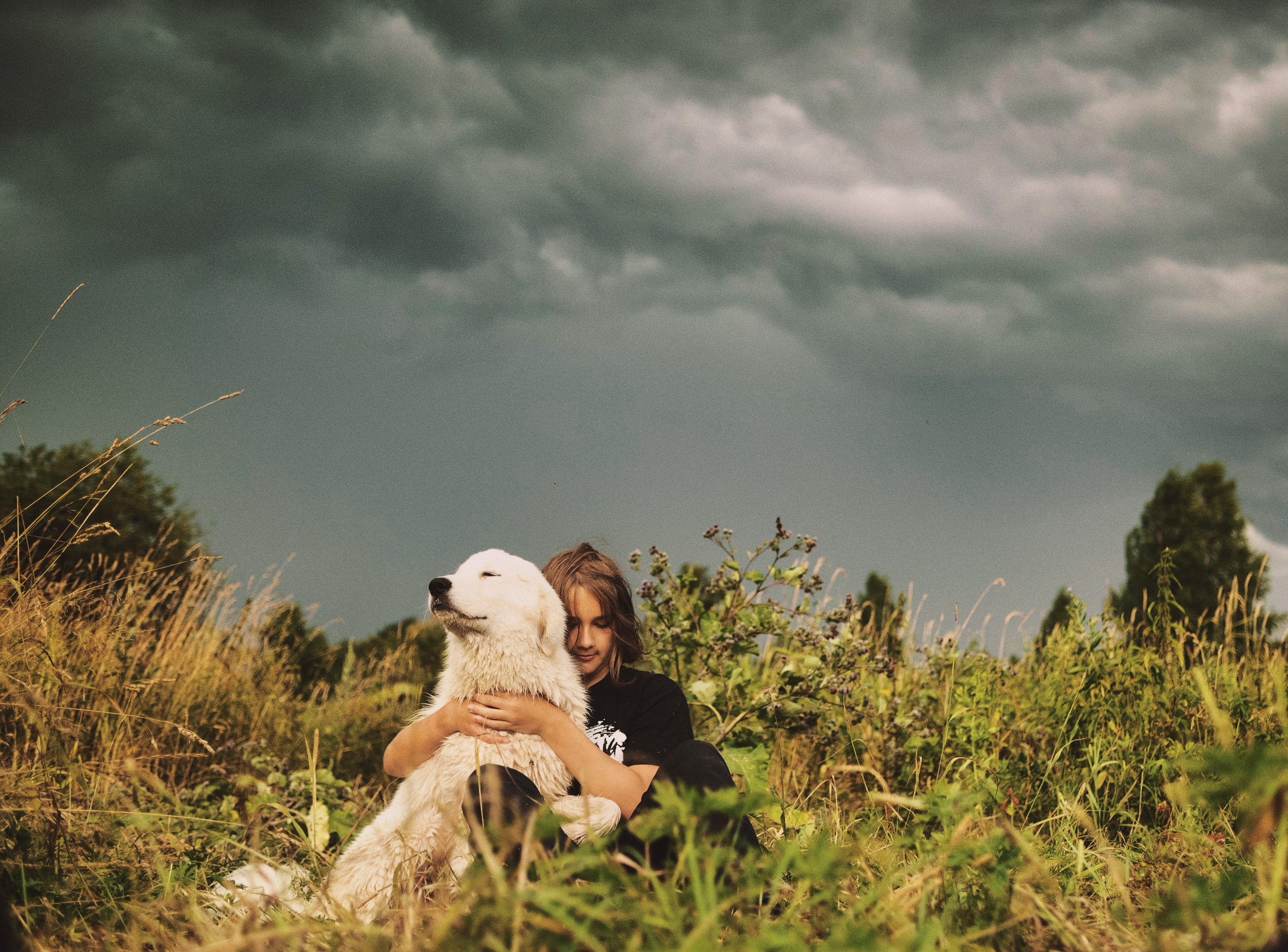 Мальчик сидит в поле с большой белой собакой