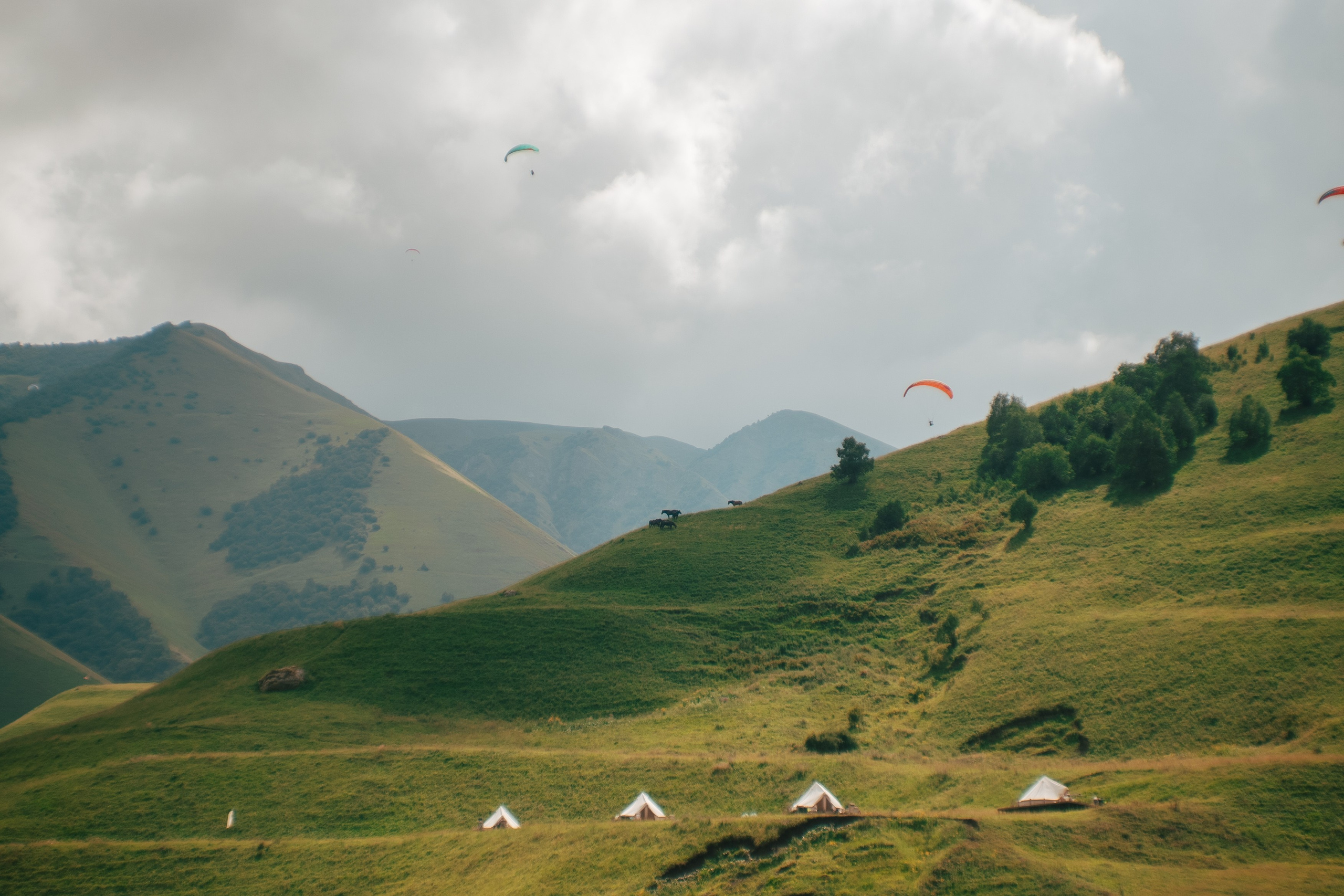 Кабардино-Балкария ✽ Август. Репортажный фотограф | Роза Хутор Красная Поляна Сочи Сириус