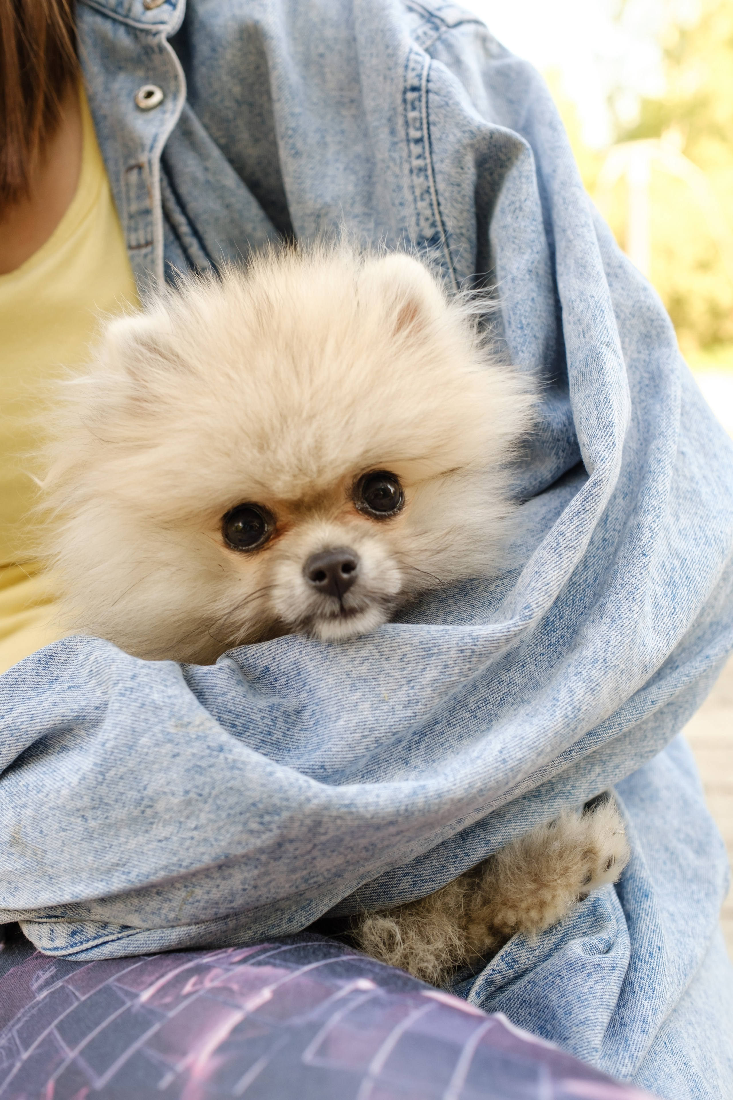 Архстояние детское 2023. Семейный и детский фотограф в Москве Светлана Потемкина