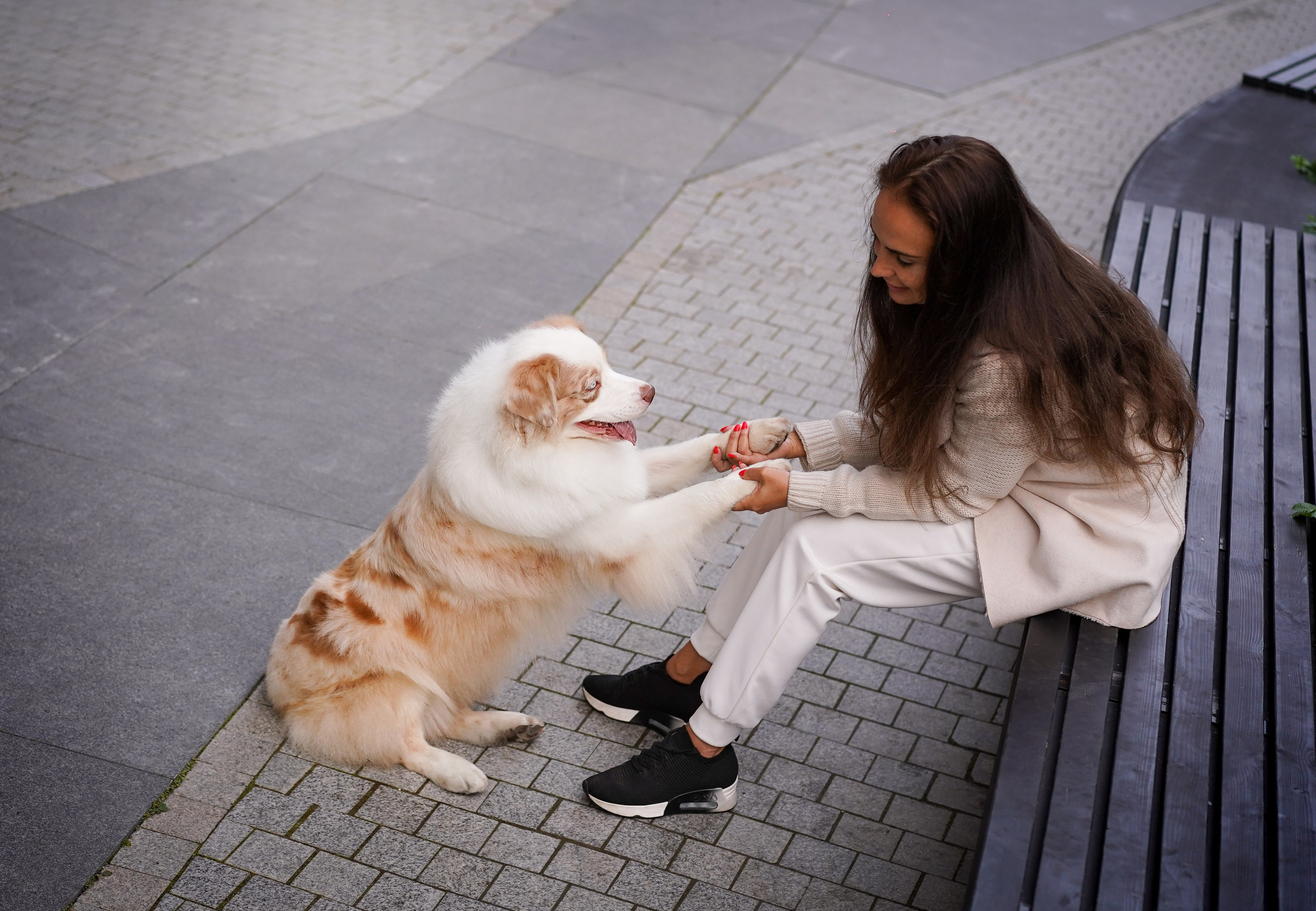 Кристина Катя Гермиона и Бэст. Фотограф-анималист в Санкт-Петербурге Яна Мартынова