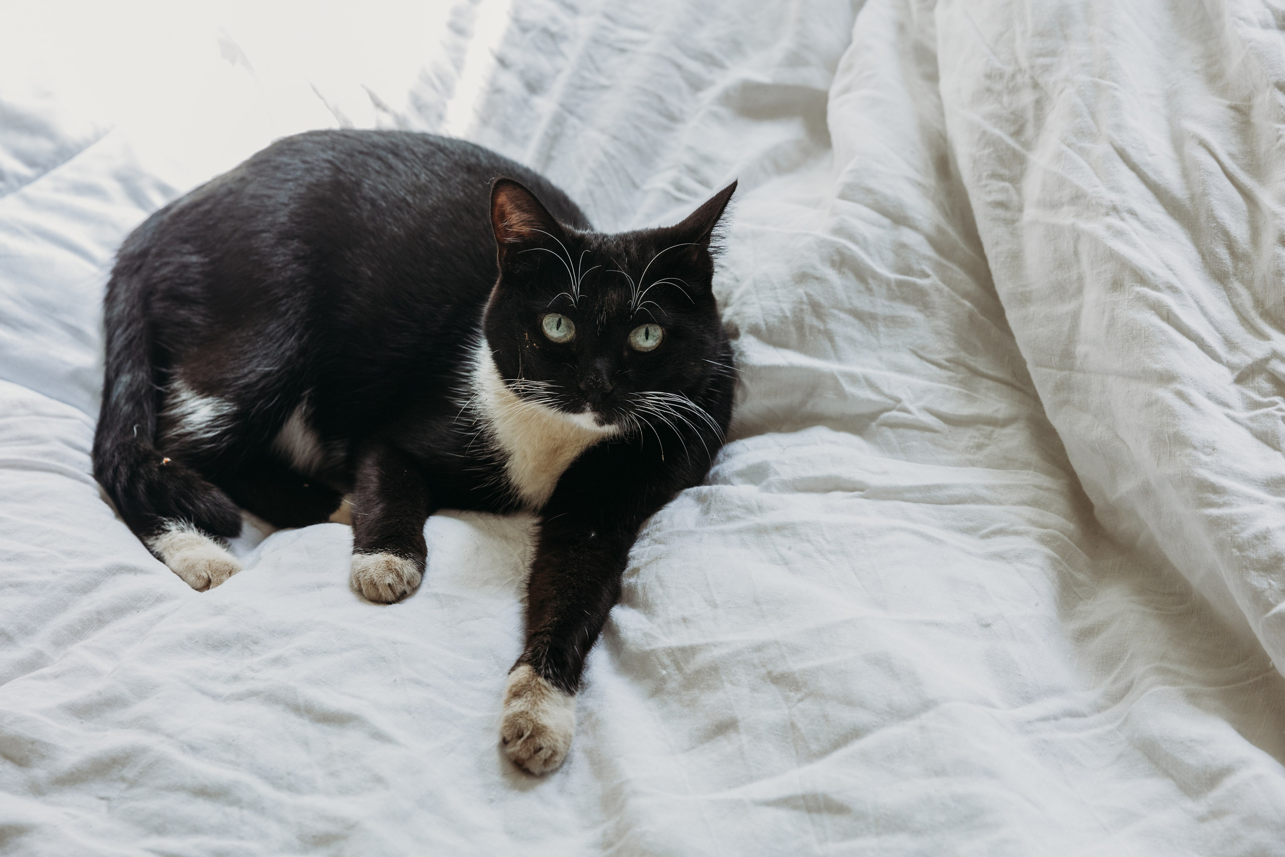 Родные люди «Кратово». Леся Гаранина. Семейный фотограф/видеограф Москва и область