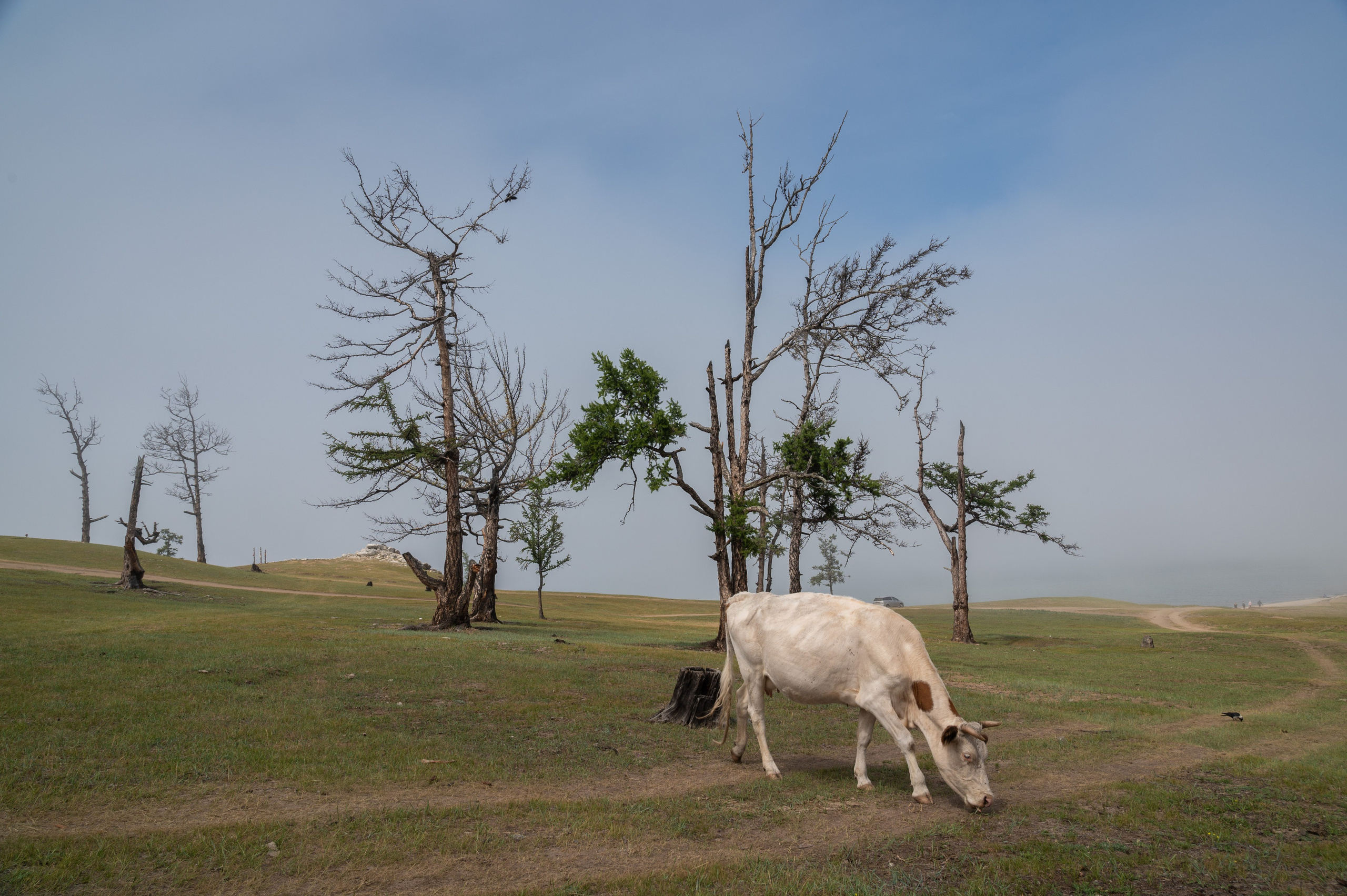 Пейзажи и архитектура. Портретный фотограф в Москве Евгений Кемайкин