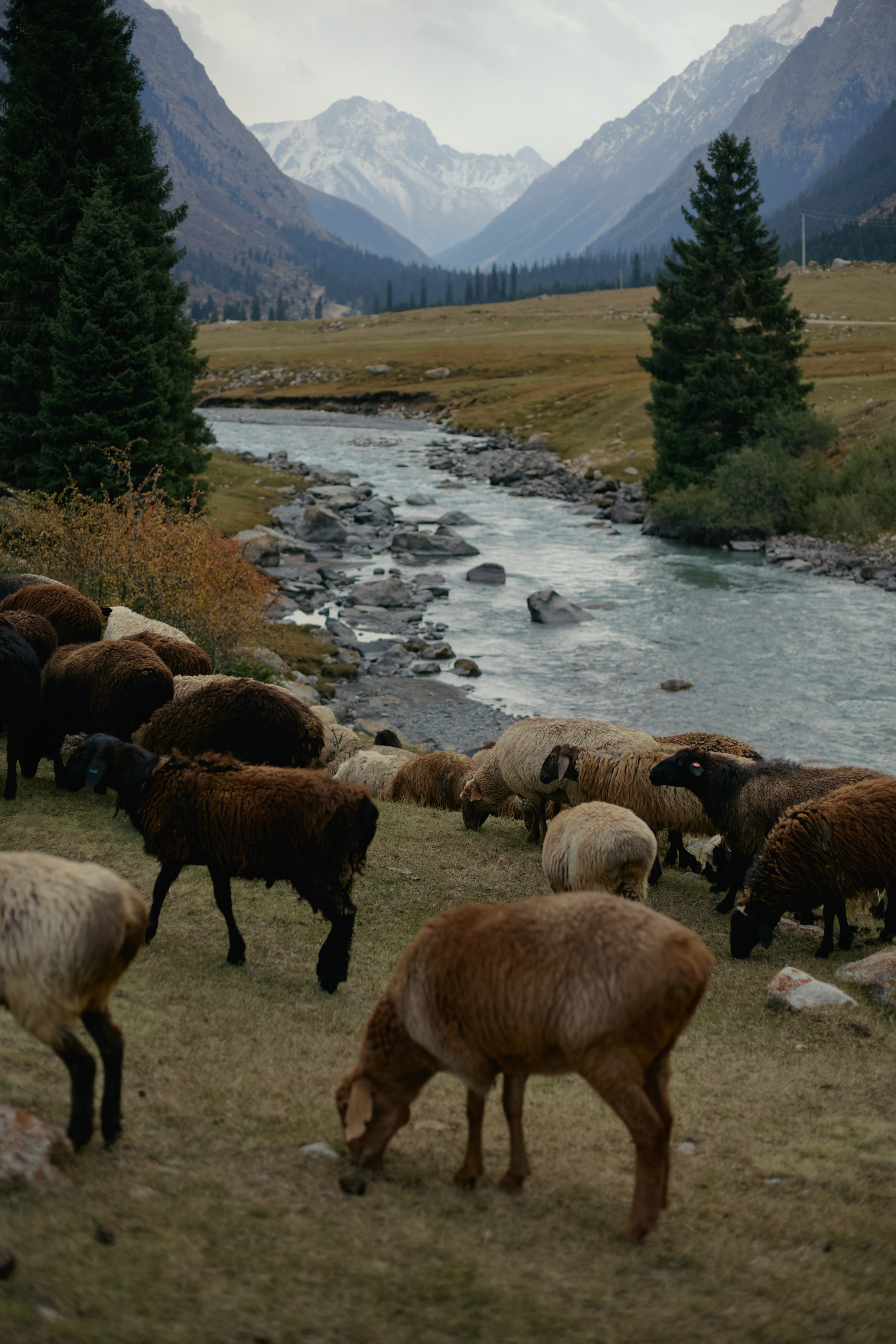 Кыргызтан. Профессиональный Фотограф во Владимире, в Москве и в Суздале — Полина Романычева