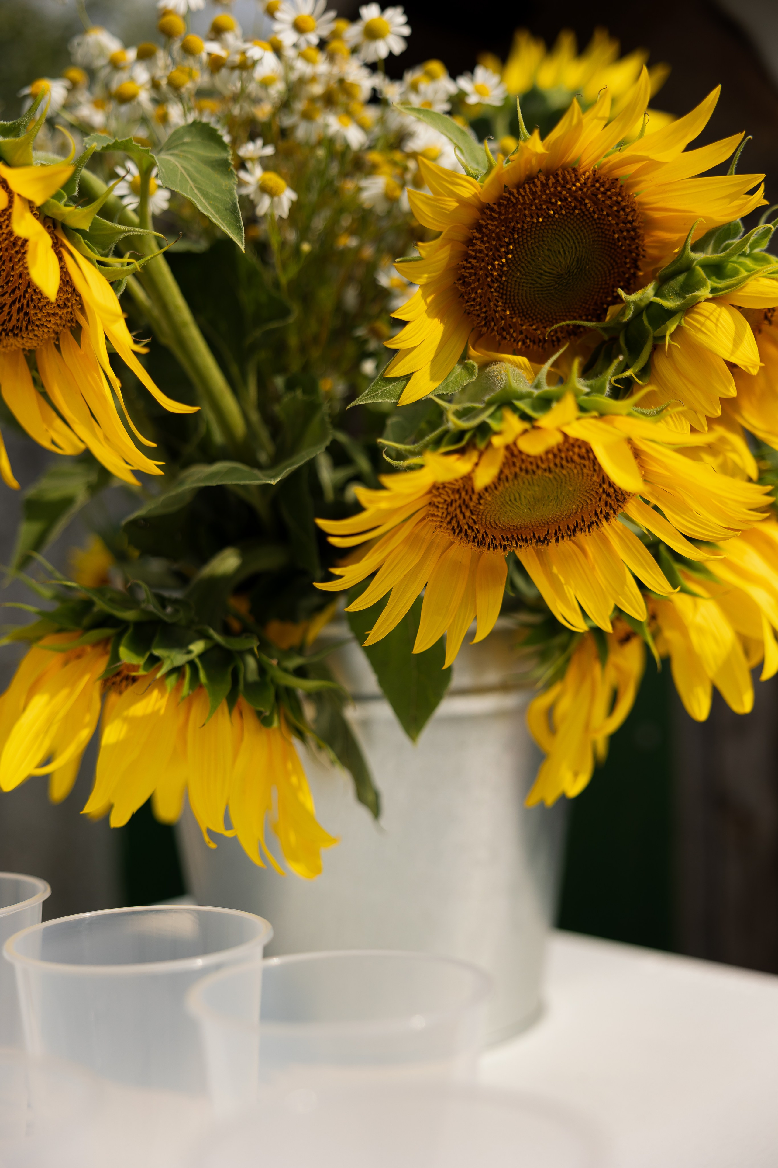 Свадьба в деревенском стиле. Фотограф Сергей Ртищев в Москве и РФ