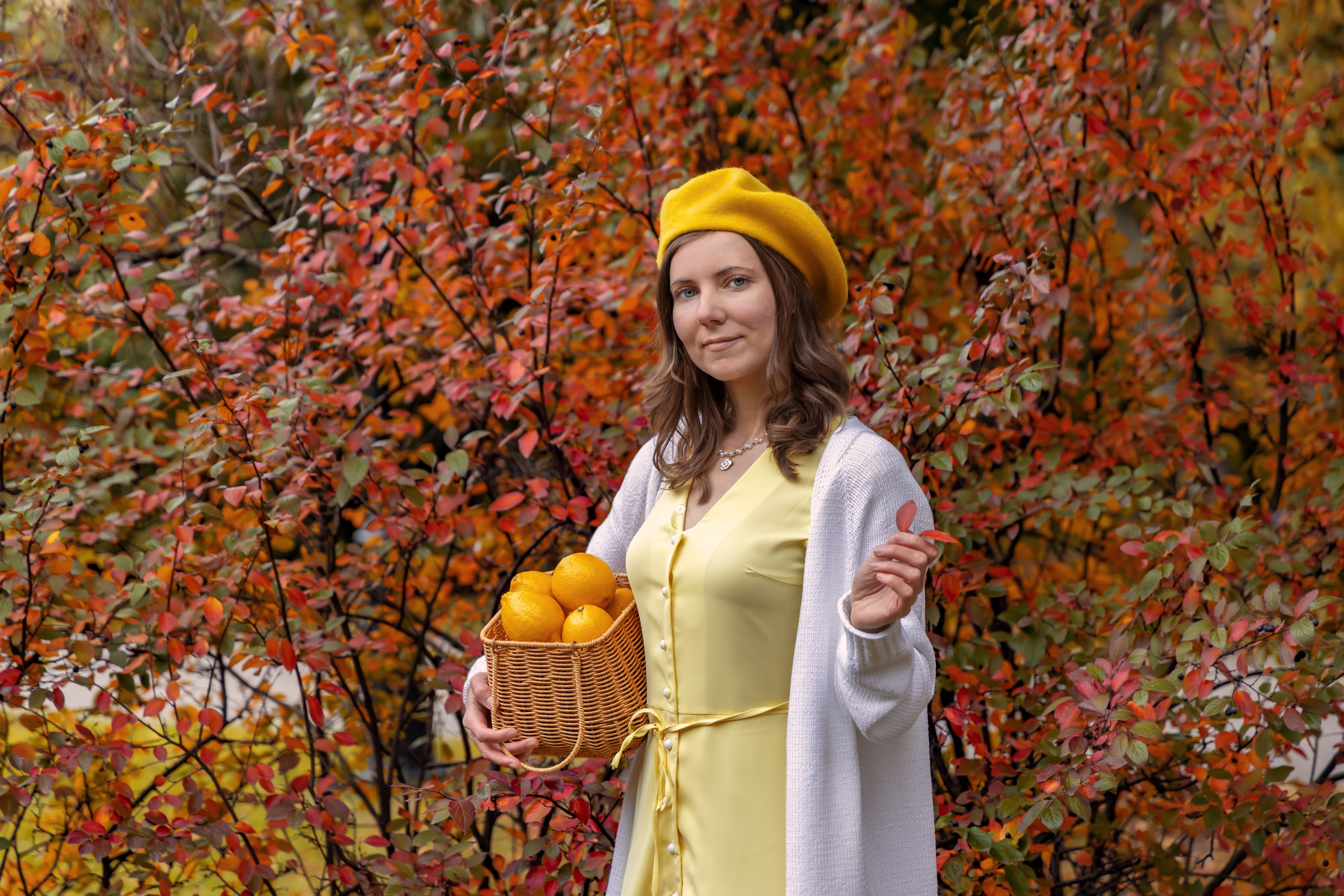 Жёлтая осень и ретро-велосипед. Репортажный, семейный и студийный фотограф в Москве Демин Алексей