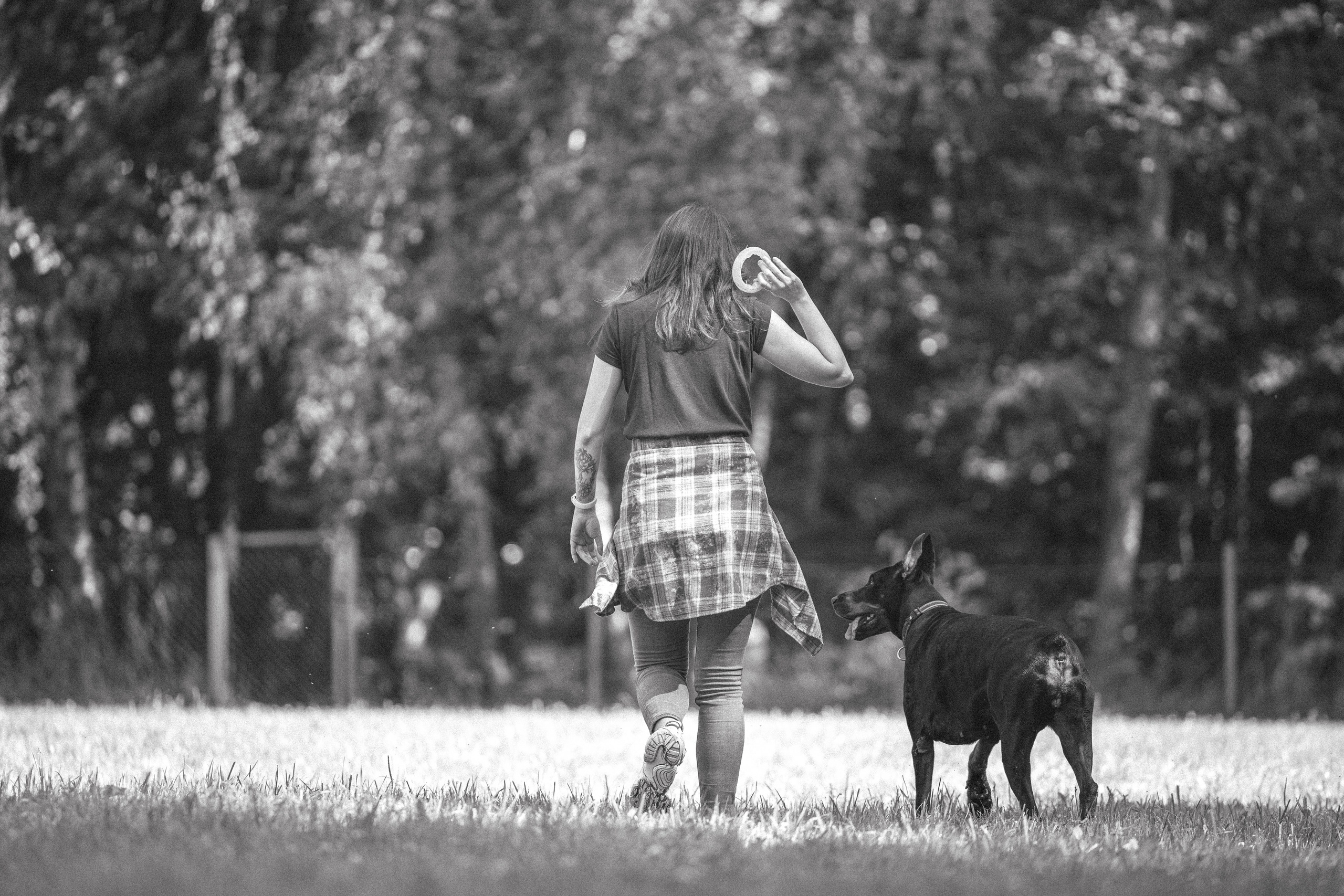 Доберман Айза. Фотограф Анималист в Москве Анастасия Жучкова