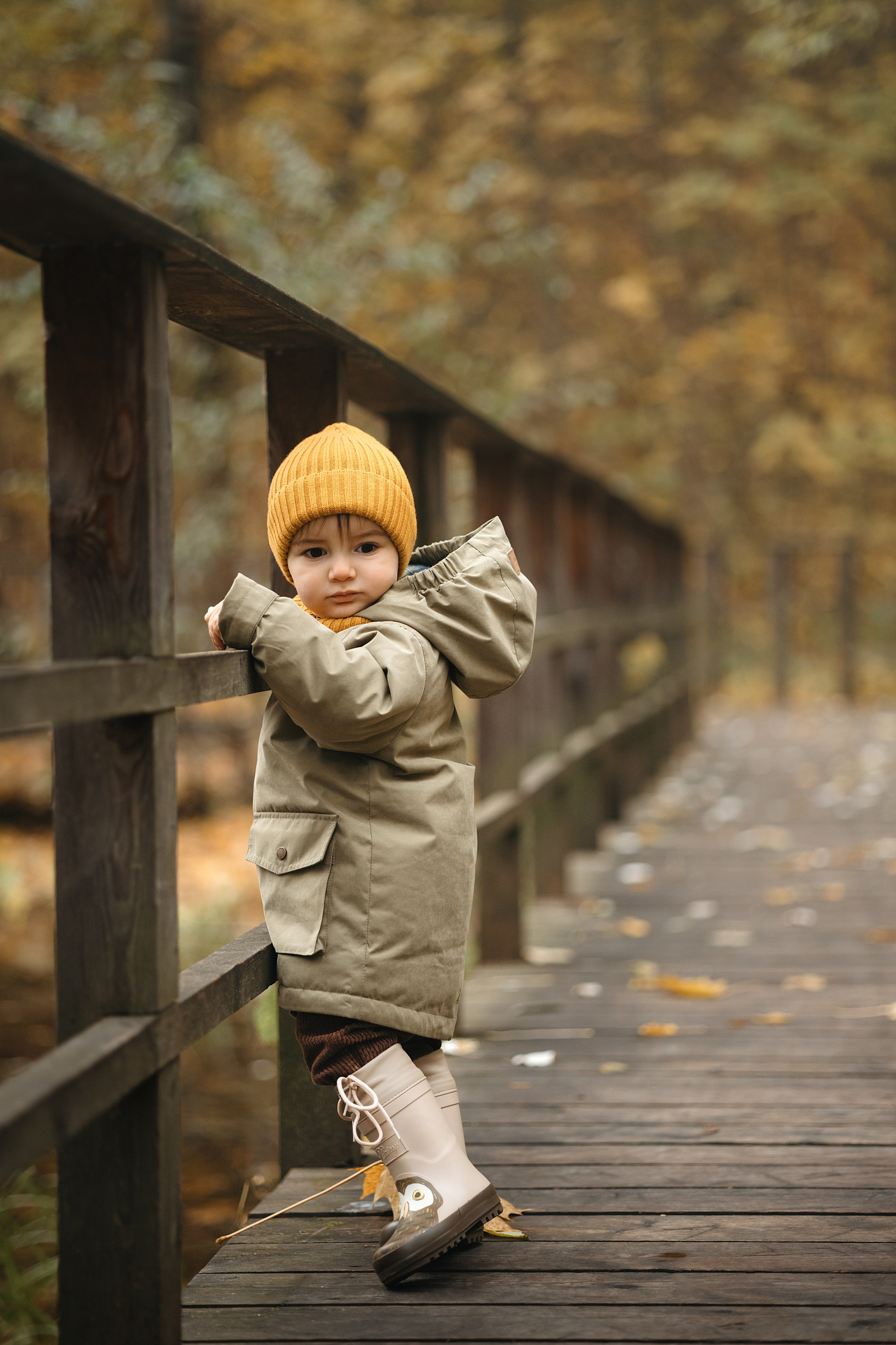 Осень в Нескучном саду (в обработке). Фотограф Анималист в Москве Анастасия Жучкова