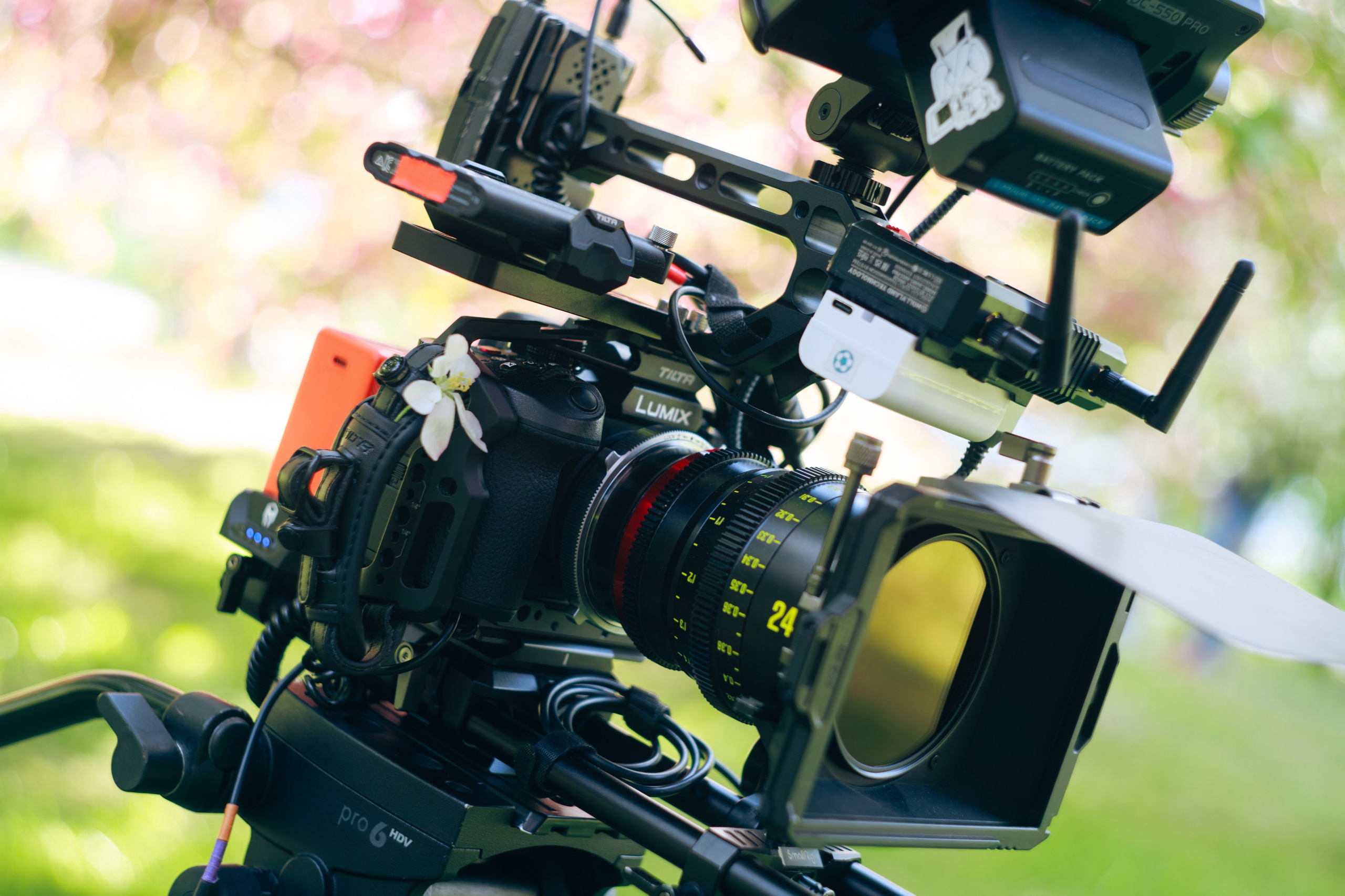 Архивные фото. Режиссёр и актриса Тася Малькова