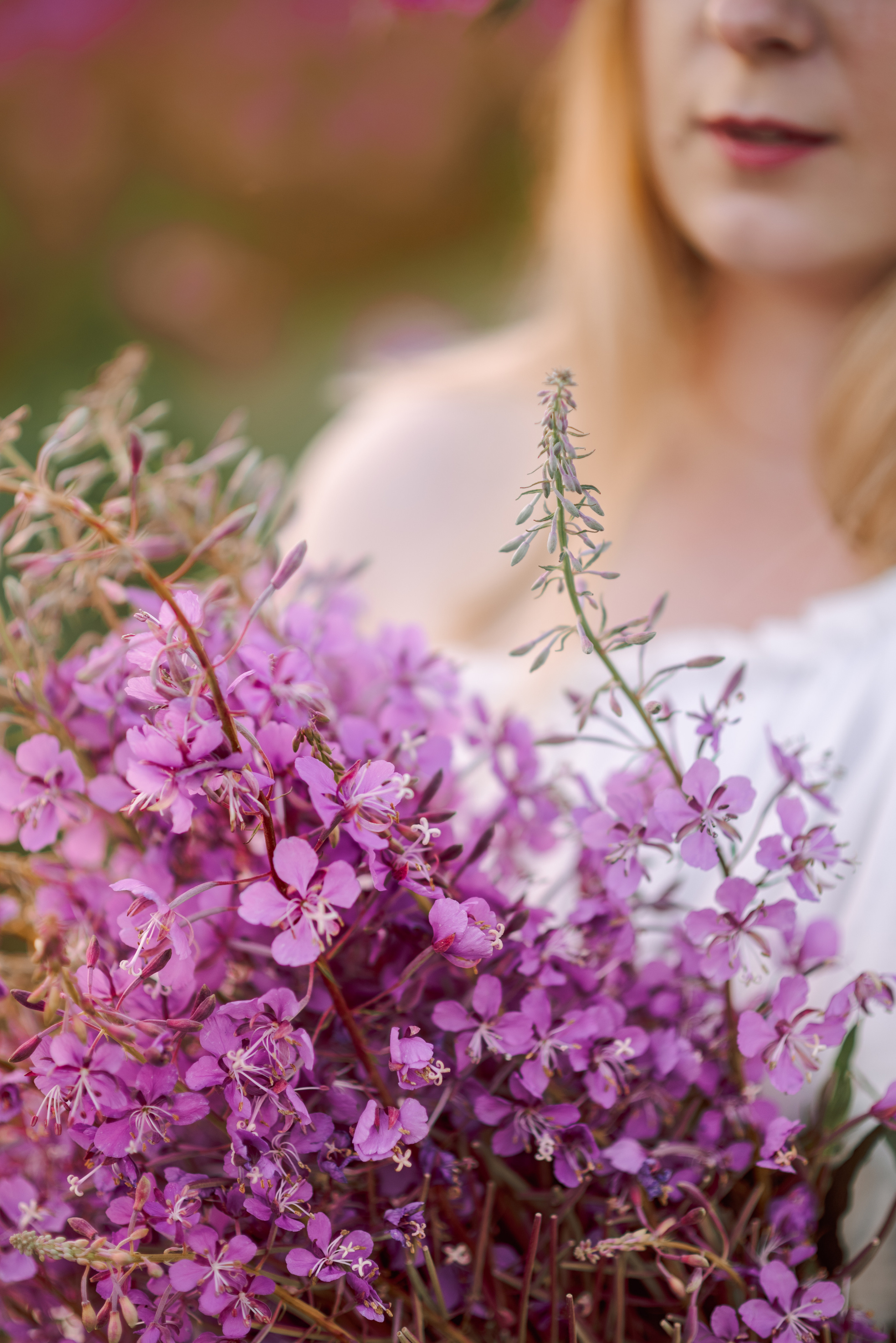 крупно часть букета из иван-чая в руках у девушки