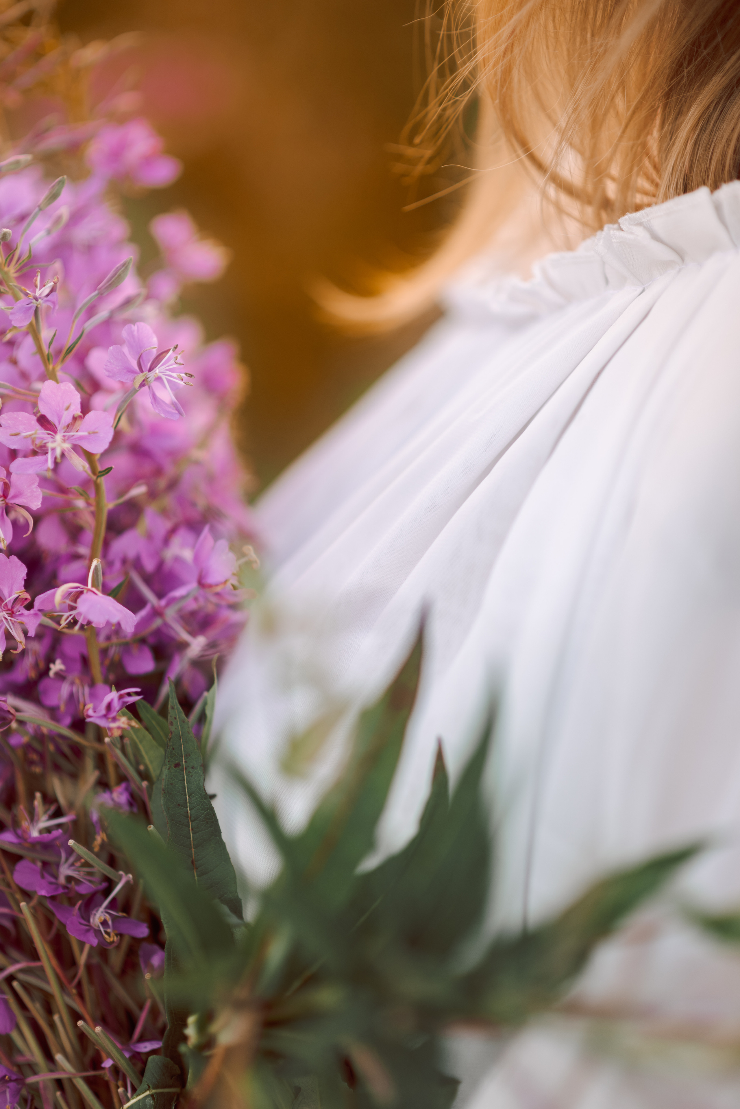 крупно часть плеча и груди девушки. держит букет иван-чая в лучах закатного солнца