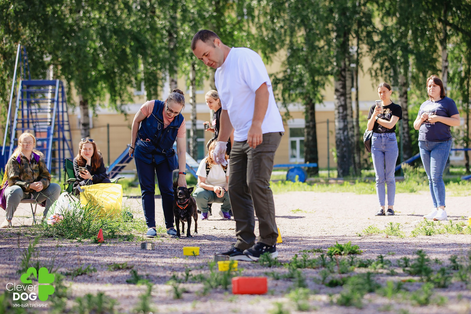 Семинар по поиску запаха с Иваном Ломовым, организатор CleverDog, СПб. Фотограф-анималист Mary Mart — Москва, Питер
