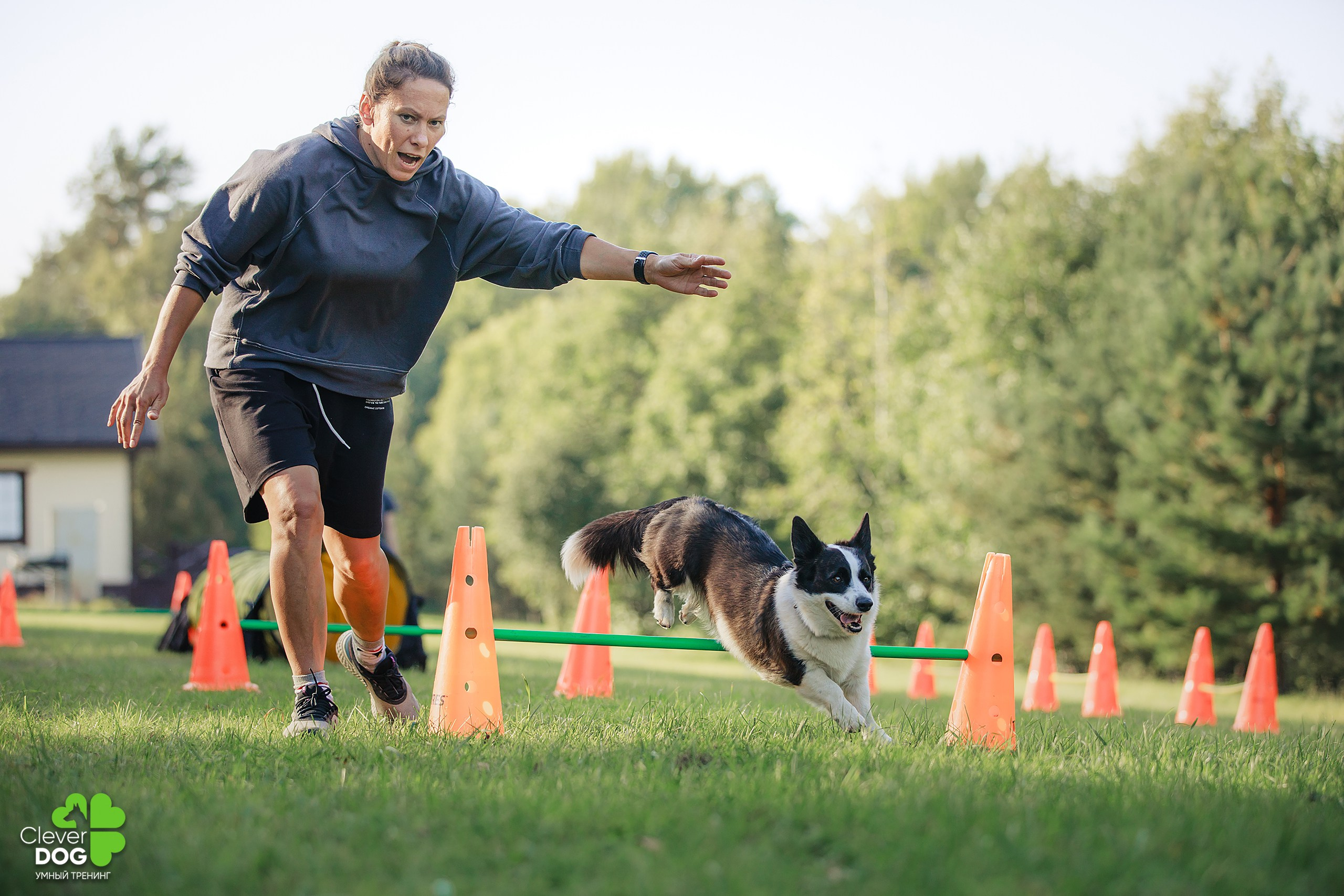 Кинологический лагерь CleverDog, 2024. Фотограф-анималист Mary Mart — Москва, Питер