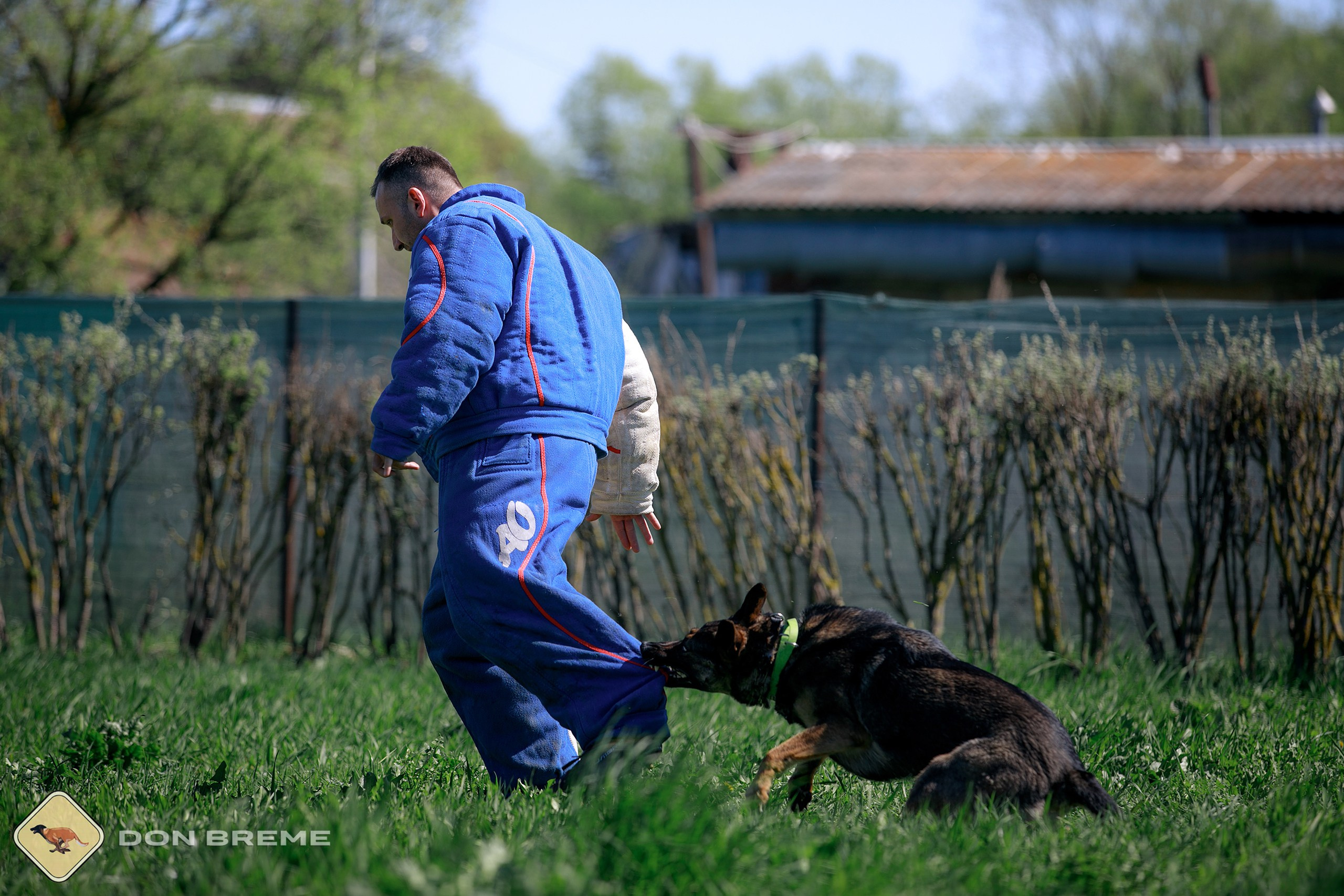 Семинар для фигурантов, день 3. Фотограф-анималист Mary Mart — Москва, Питер