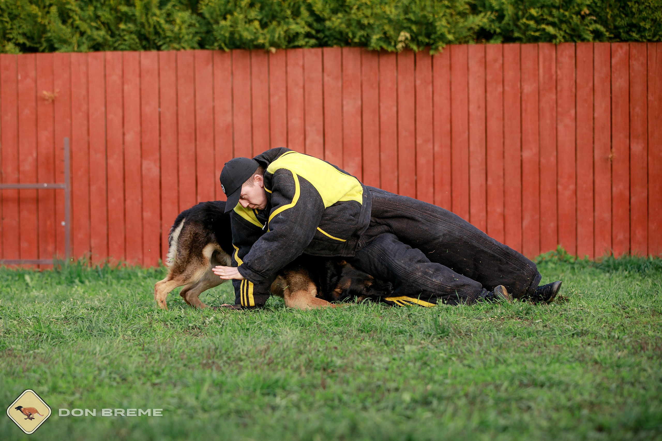 Семинар для фигурантов, день 2. Фотограф-анималист Mary Mart — Москва, Питер