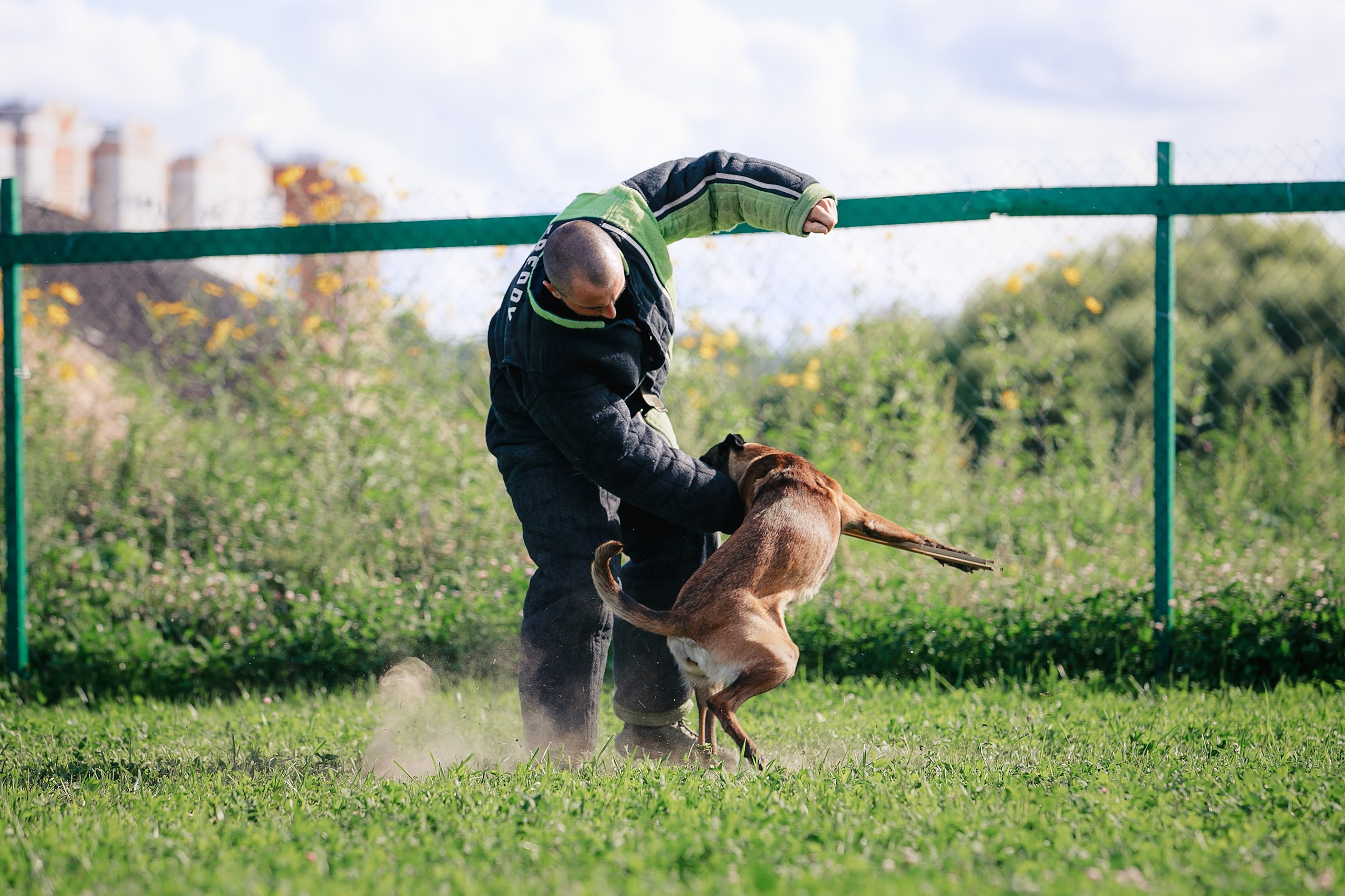 Мондьоринг М1, М2, М3, Вологда. Фотограф-анималист Mary Mart — Москва, Питер
