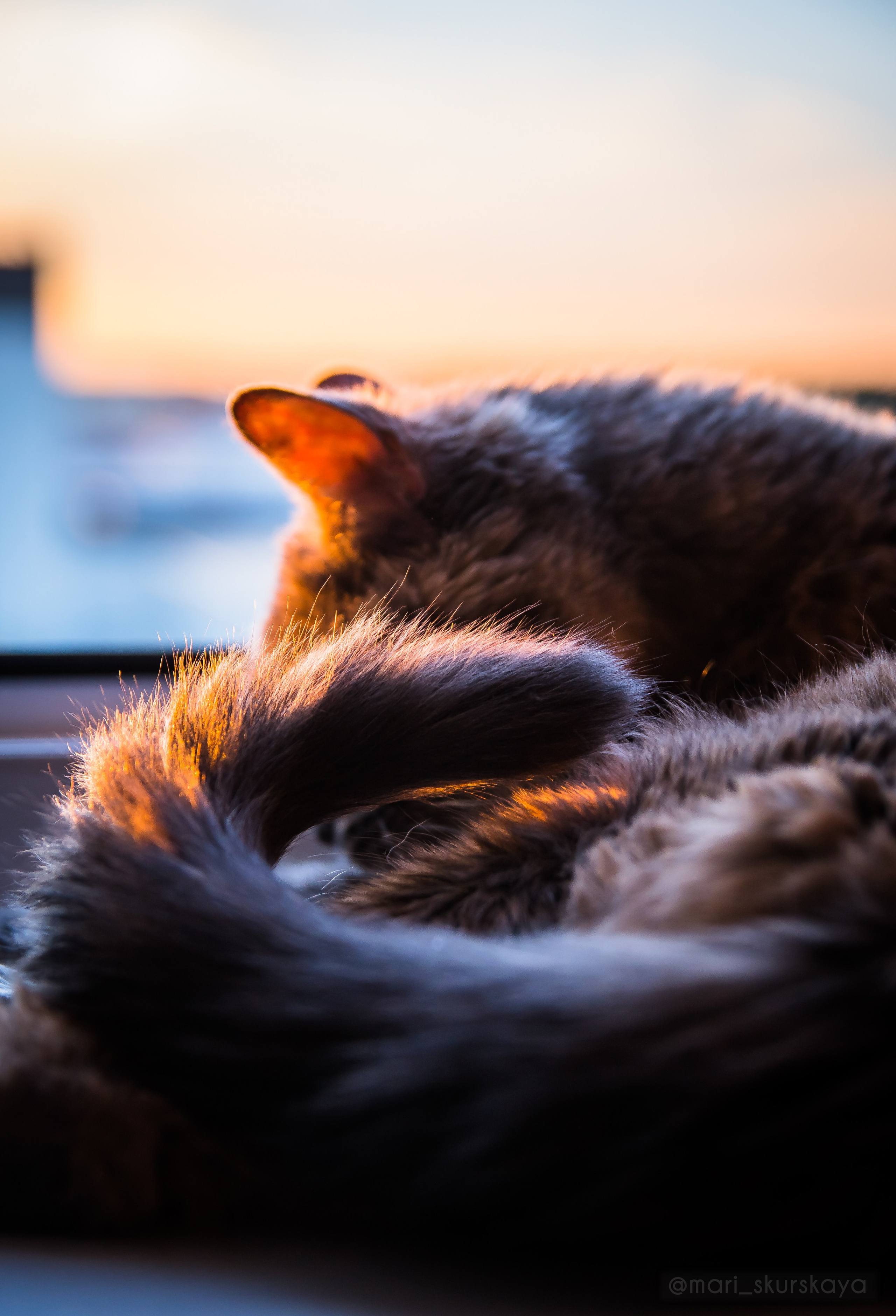 Закатный Санкт-Петербург. Мотофотограф в Санкт-Петербурге Мария Скурская