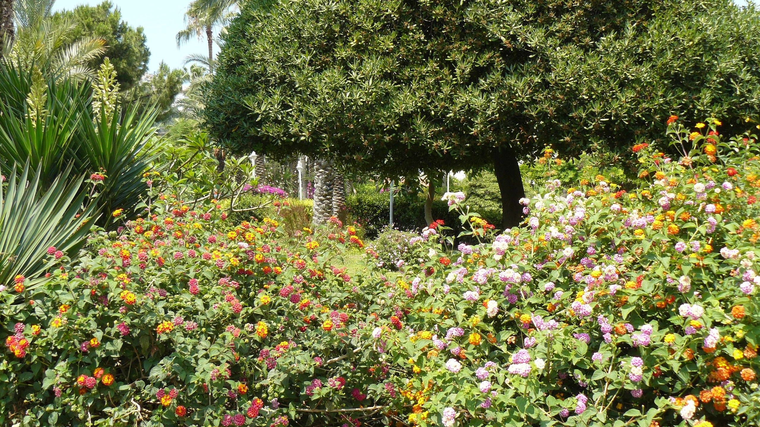 Алания 2015 порт и парк. Фотопрогулки по Миру