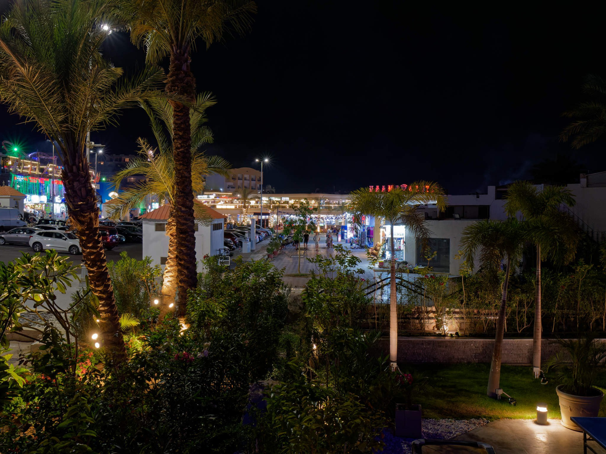 Шарм-эль-Шейх 2024. Избранные фотографии