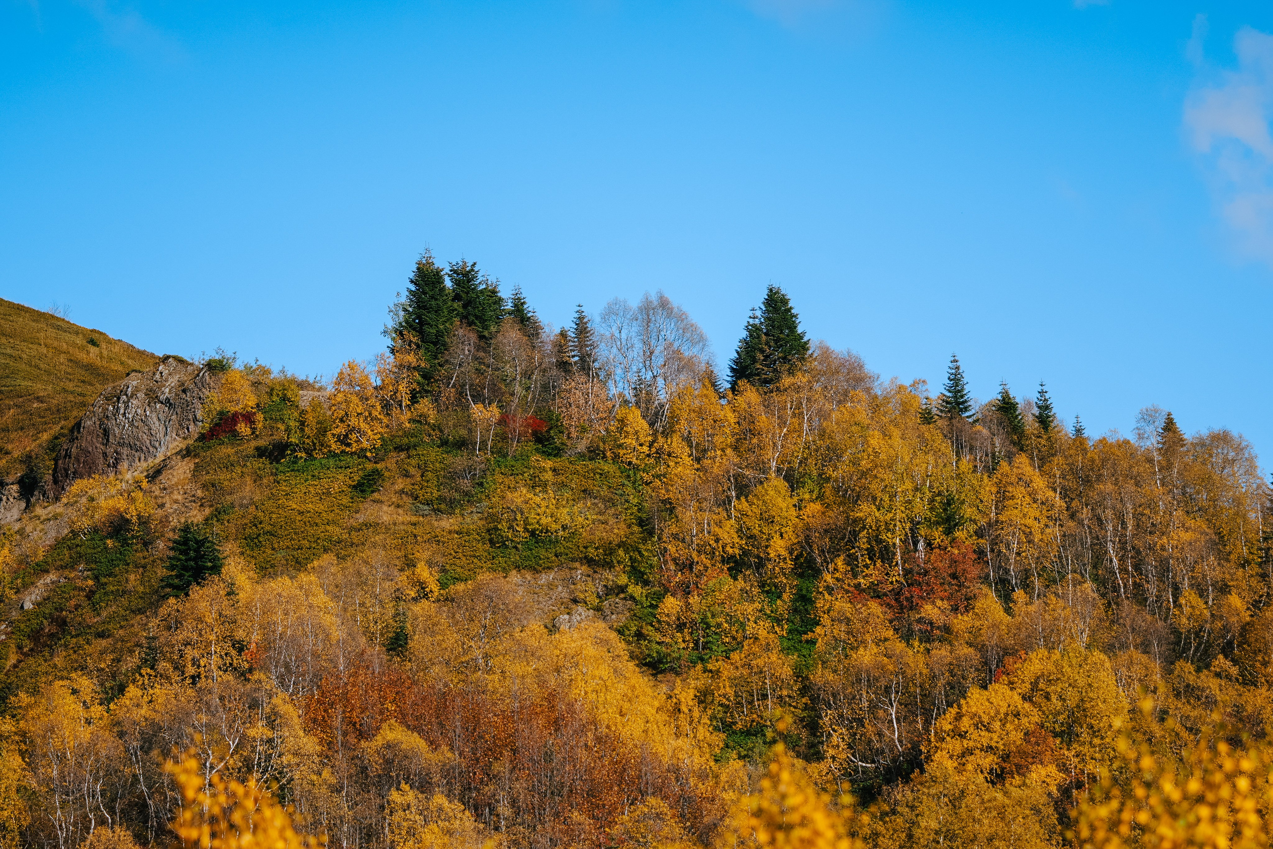 Роза Пик, тропа Турья ✽ Октябрь. Репортажный фотограф | Роза Хутор Красная Поляна Сочи Сириус