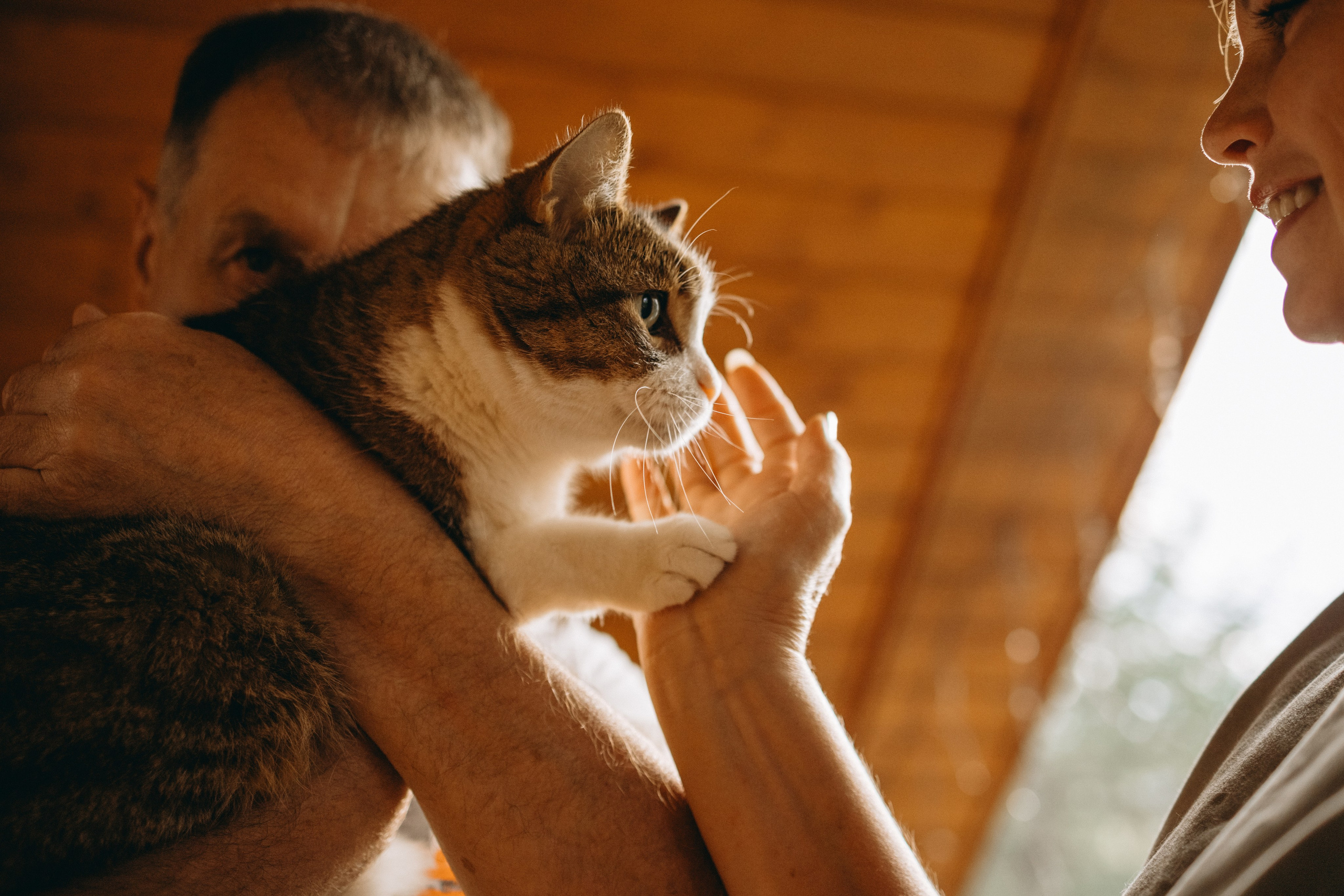 Дом у реки. Фотограф — Анималист | Санкт-Петербург