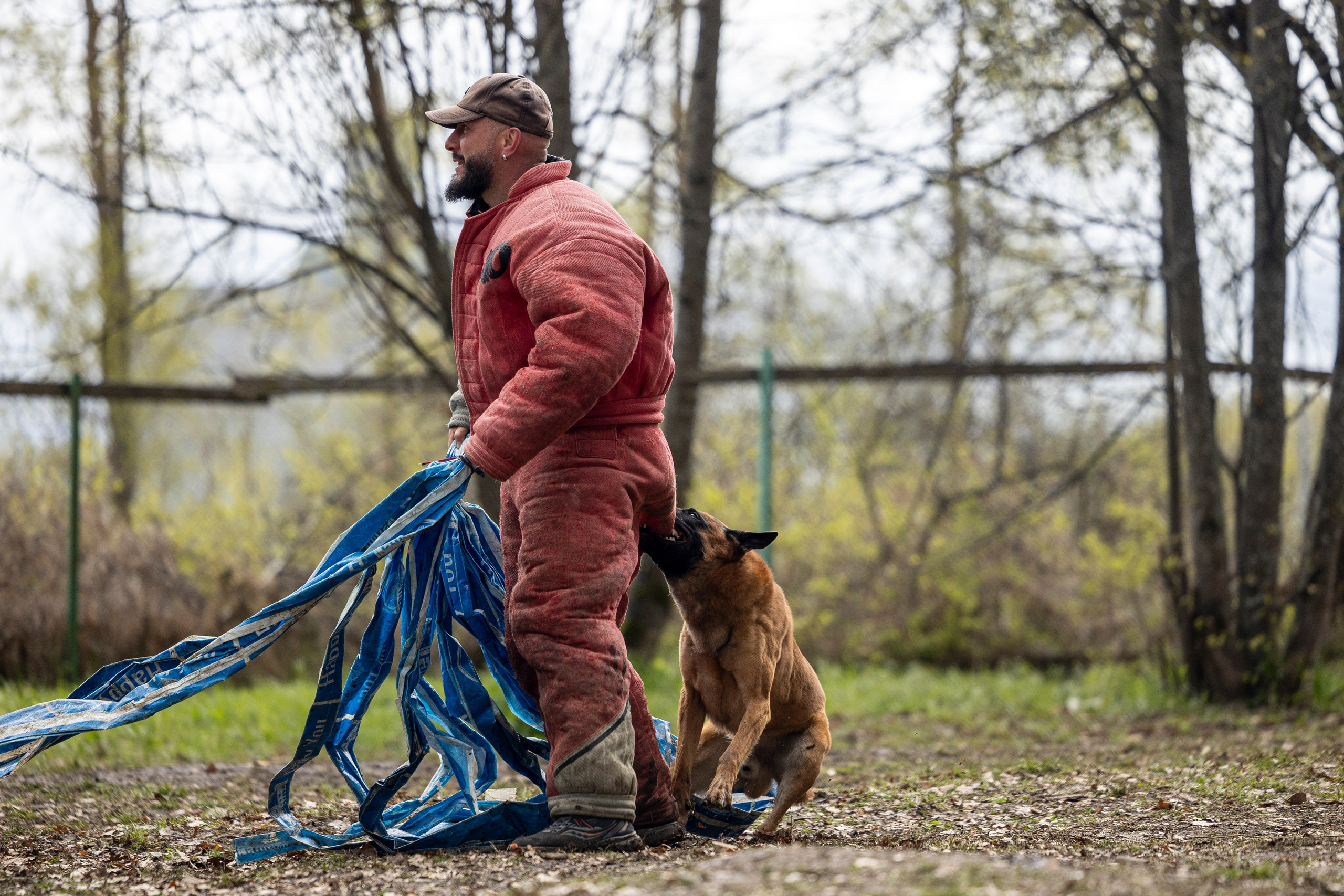 Квалификационные состязания по мондьорингу г. Вологда 11.05.24. Фотограф-анималист Анна Маринич