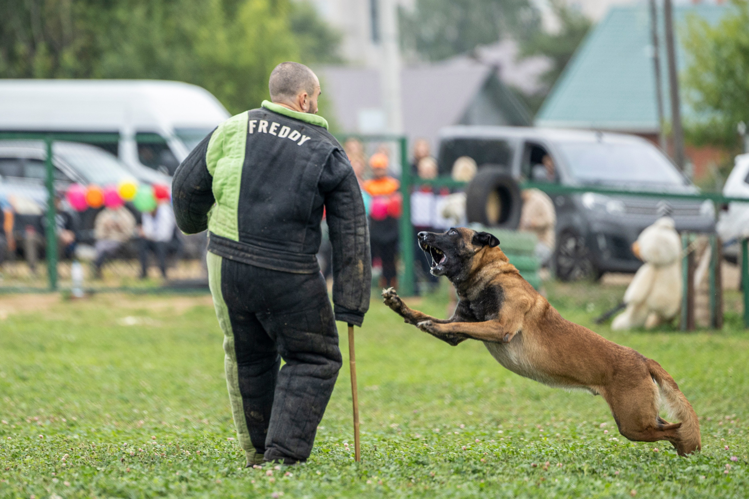 Соревнования по Мондьорингу г. Вологда 10-11.08.2024. Фотограф-анималист Анна Маринич