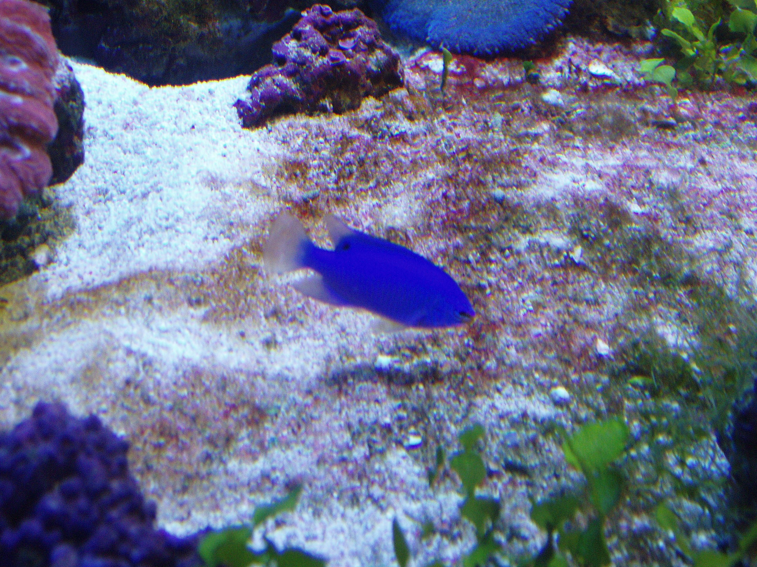 Отпуск 13.07-24.08. Семейный, Свадебный фотограф СПБ Питер— Романова Екатерина