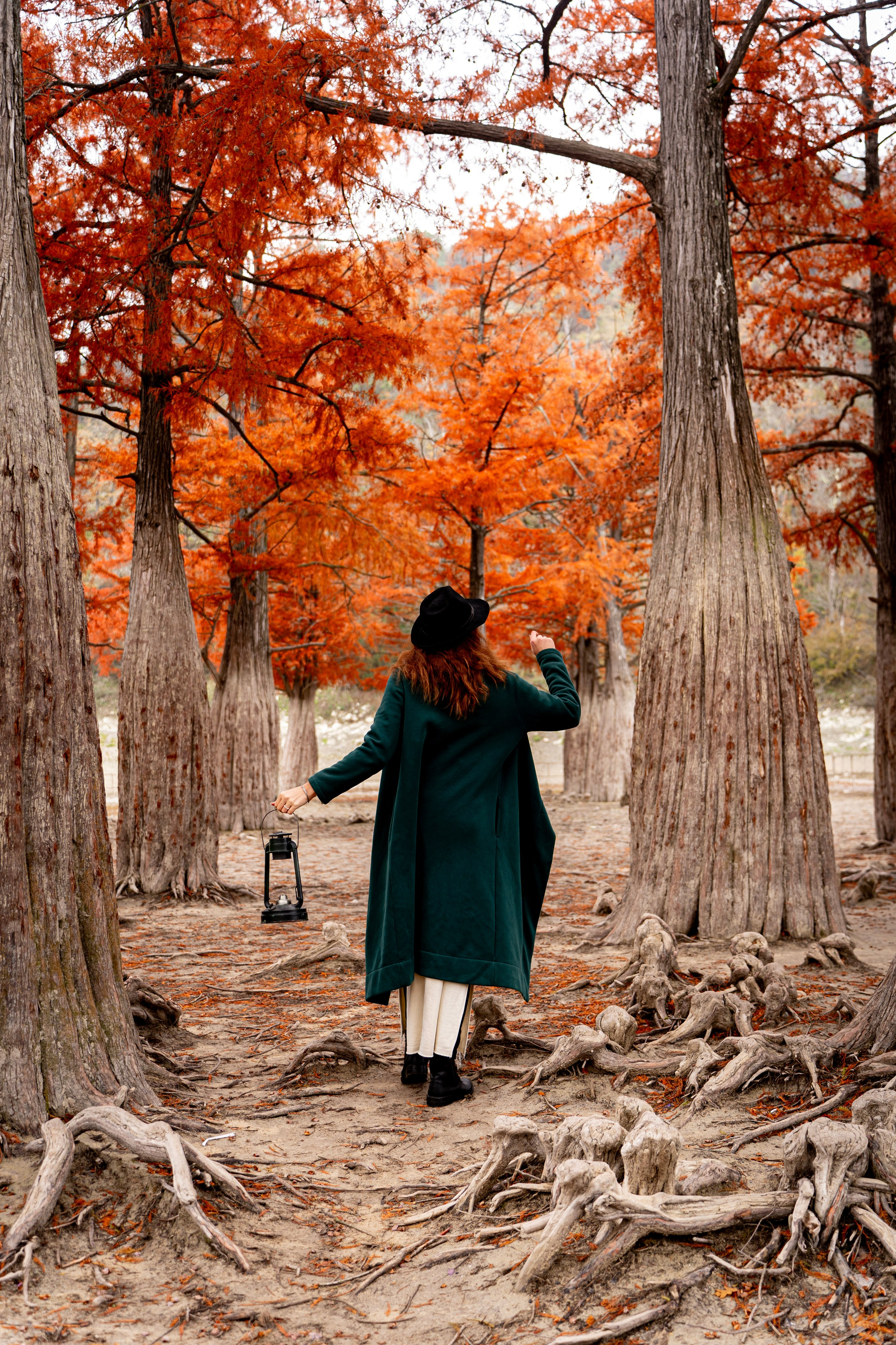 Осенняя фотосессия в Анапе — яркие кипарисы. Семейный и детский фотограф Екатерина Черняева. Снимаю портреты, love story, фотопрогулки, работаю на улице, в кафе, студии, дома у клиента